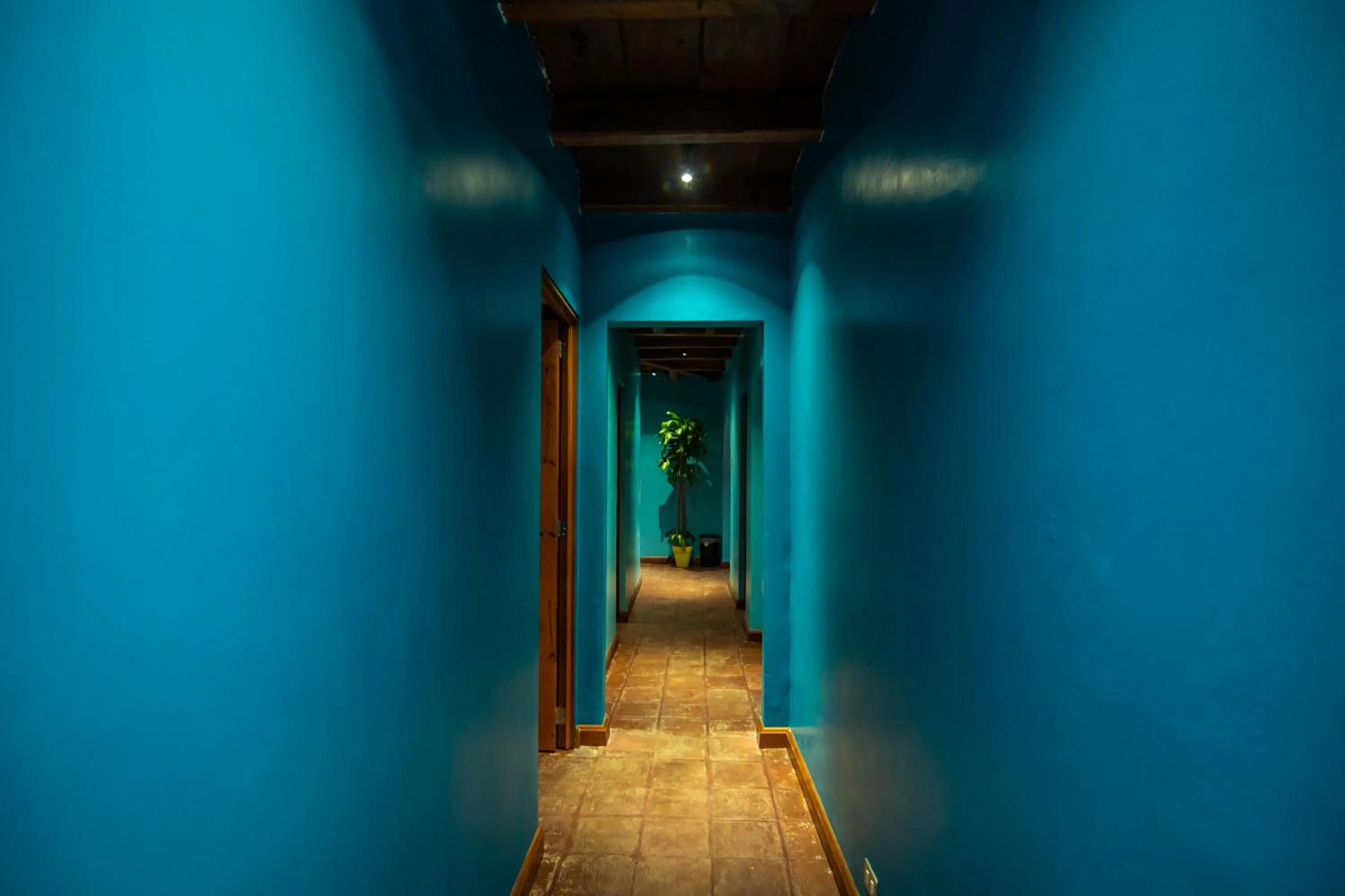 Property building in Yes Please! Hostel