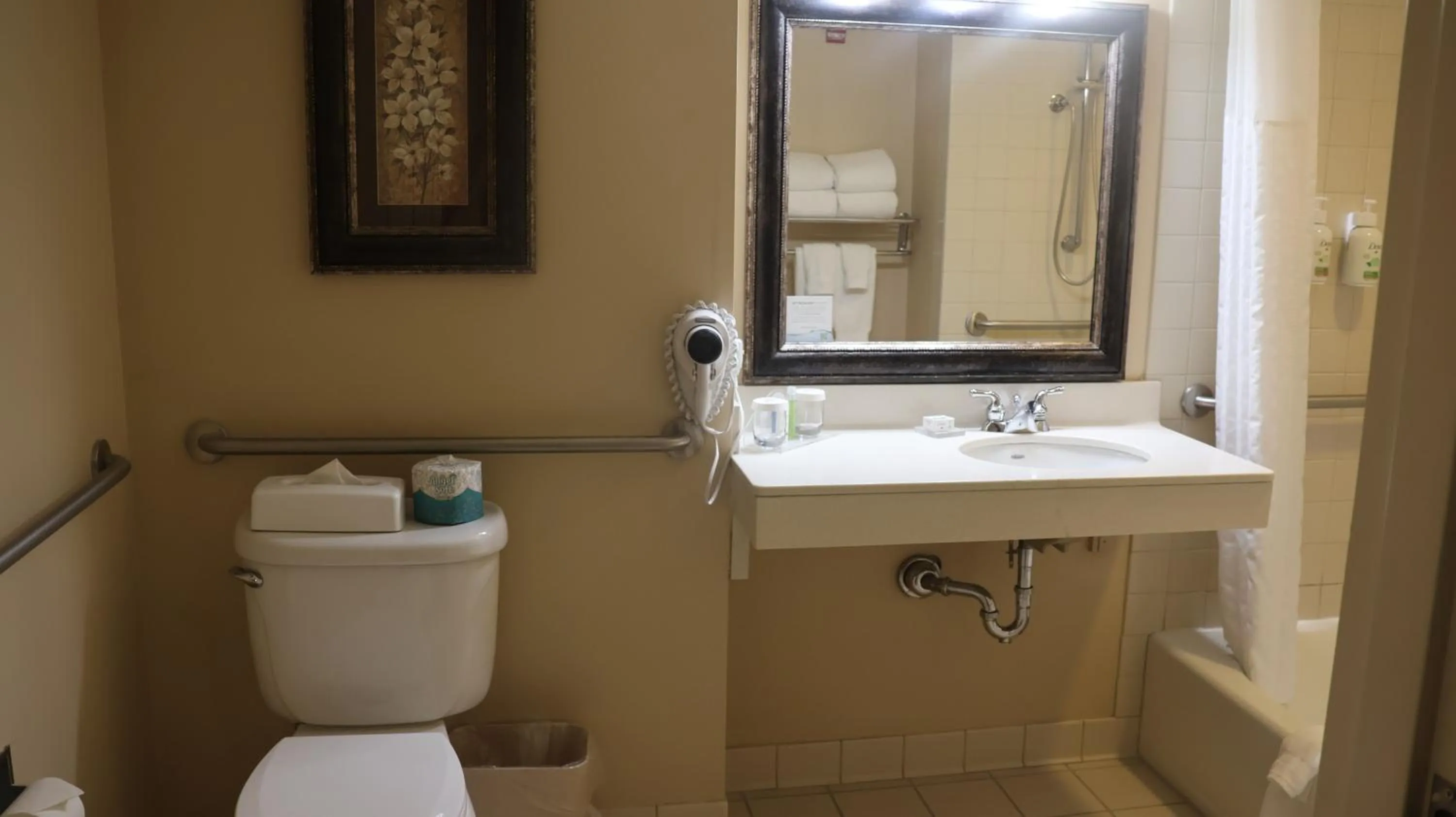 Bathroom in Wingate by Wyndham Peoria - Complimentary Area Shuttle