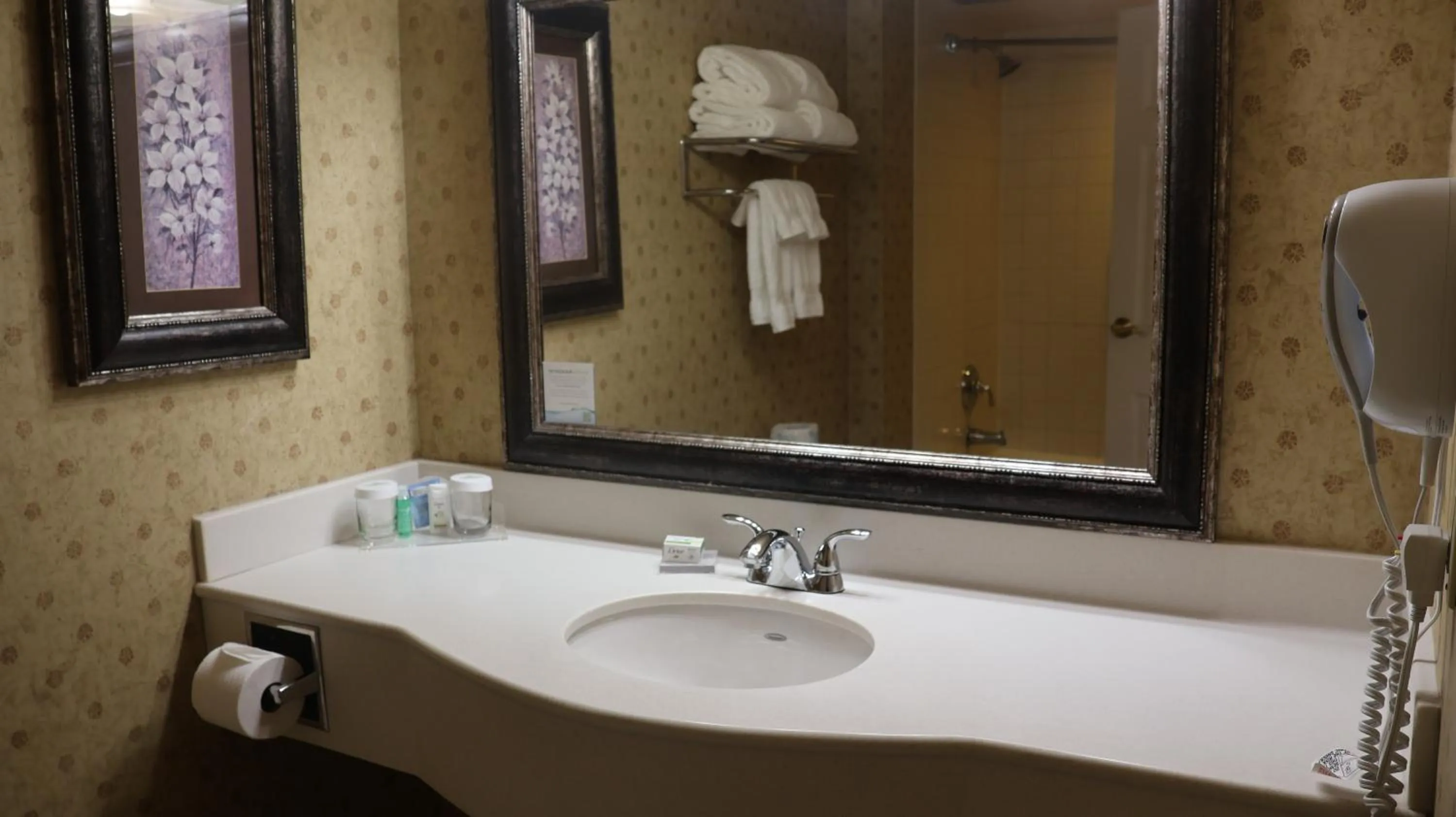 Bathroom in Wingate by Wyndham Peoria - Complimentary Area Shuttle