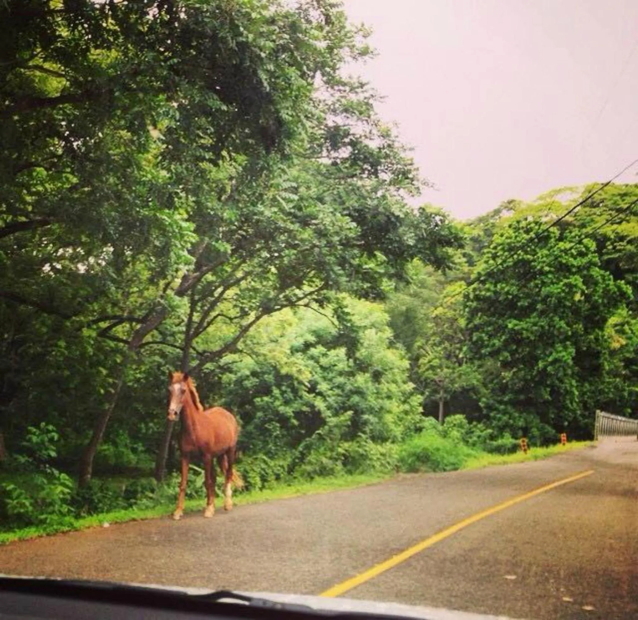 Natural landscape in Hotel Esperanza