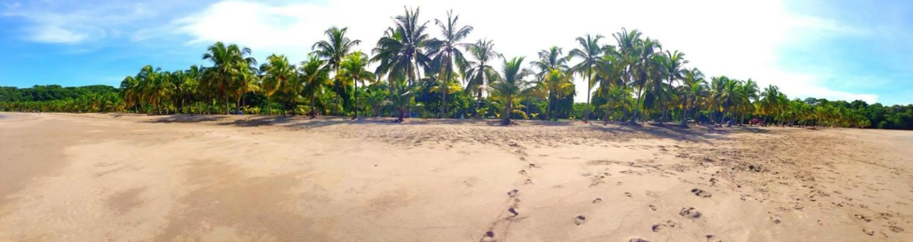Beach in Hotel Esperanza