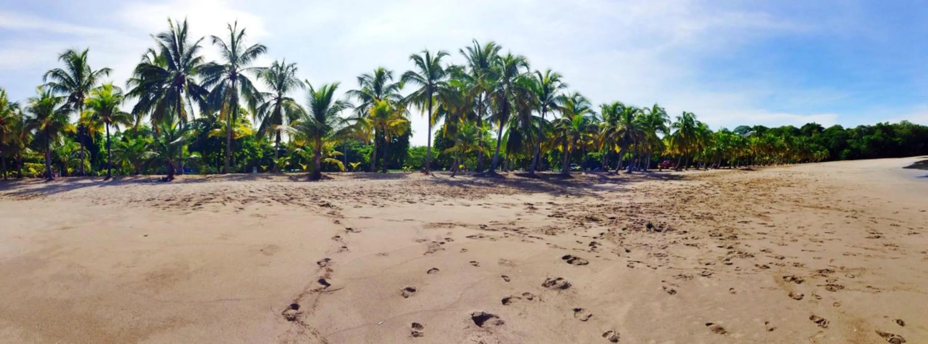 Beach in Hotel Esperanza