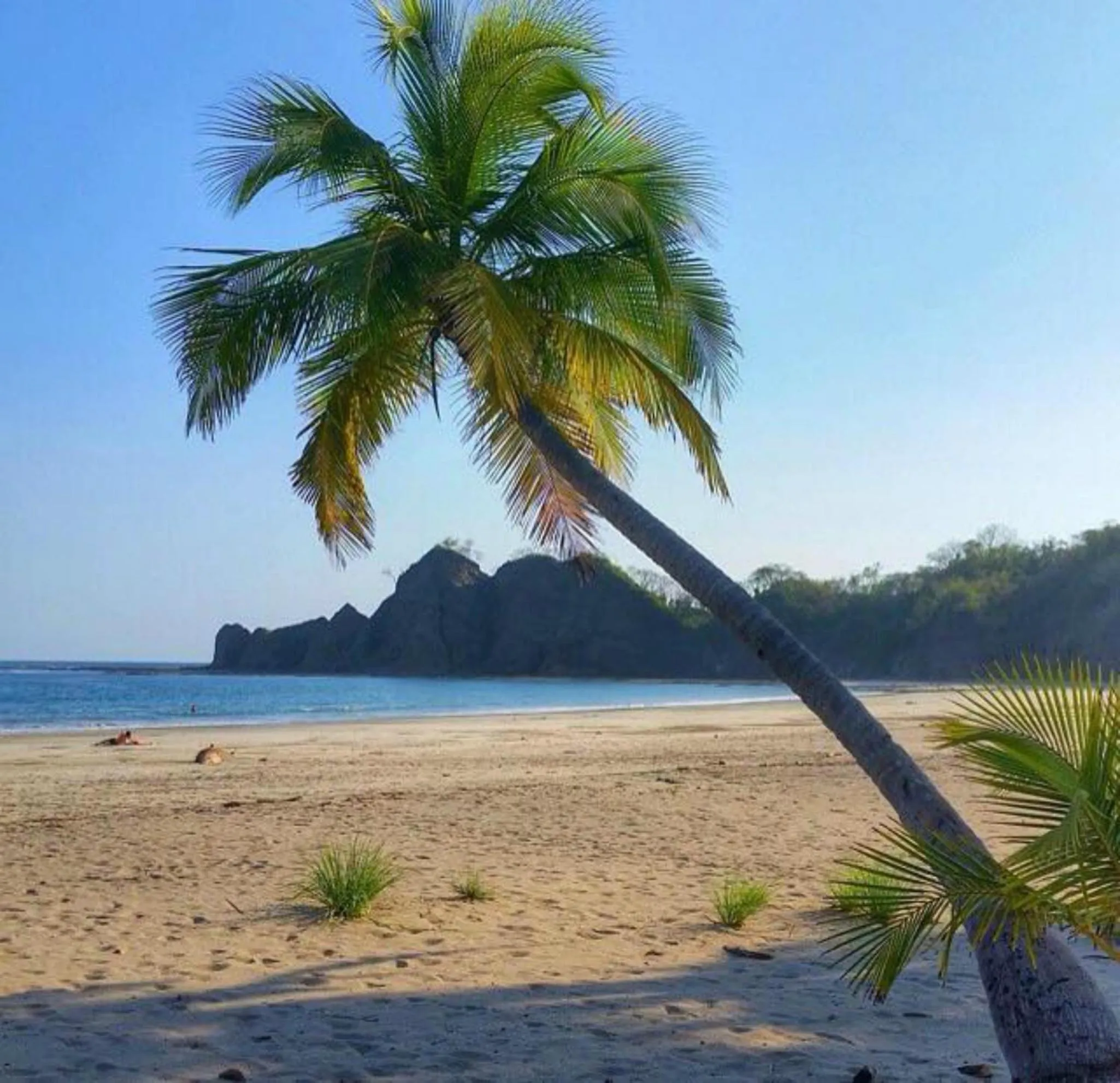 Beach in Hotel Esperanza