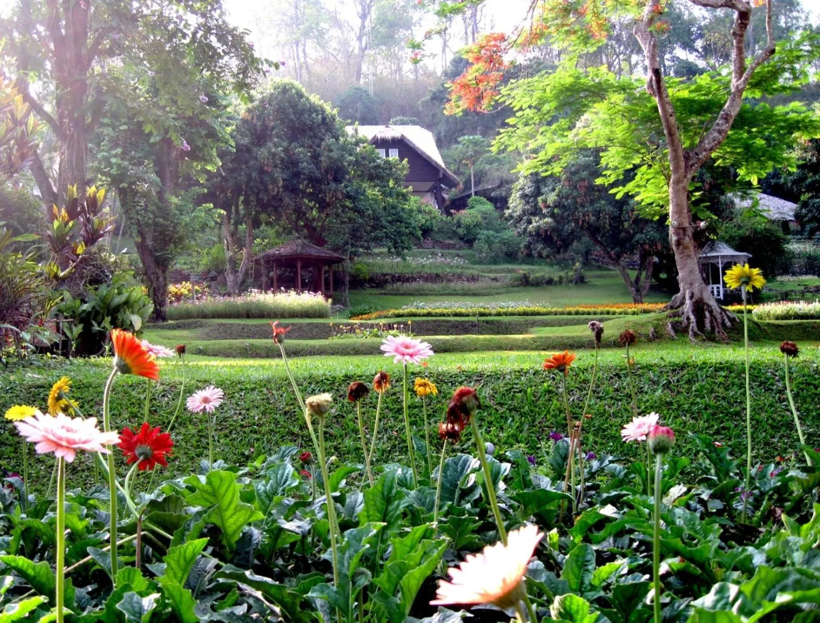 Garden in Mae Sa Valley Farm Stay Resort