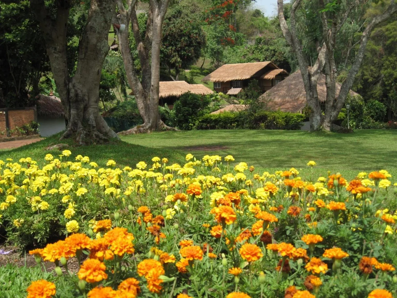 Garden in Mae Sa Valley Farm Stay Resort