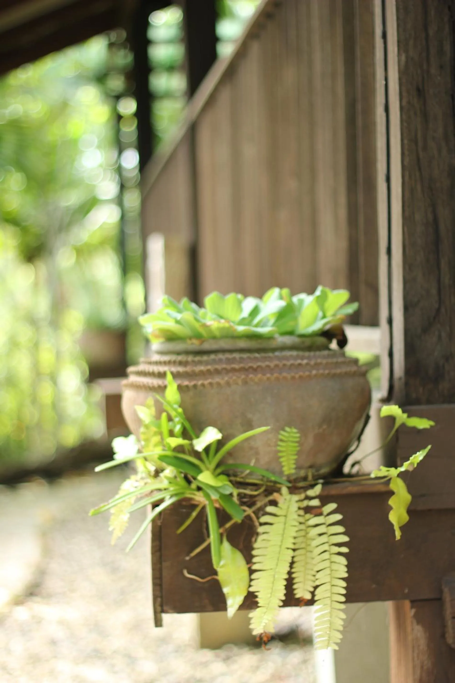 Natural landscape in Mae Nai Gardens