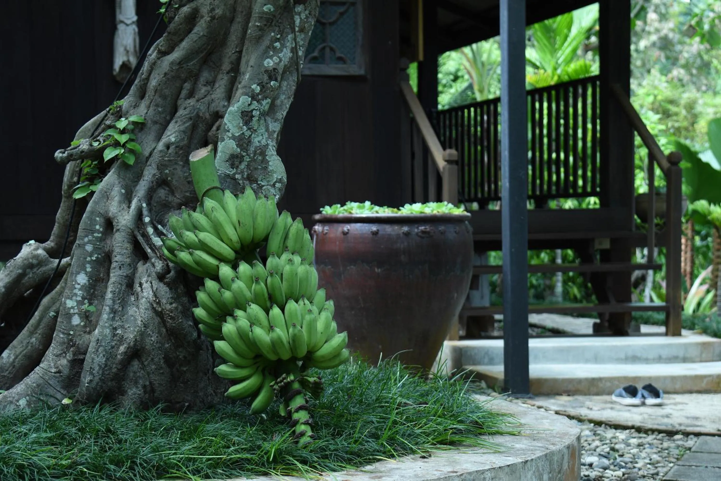 Facade/entrance in Mae Nai Gardens