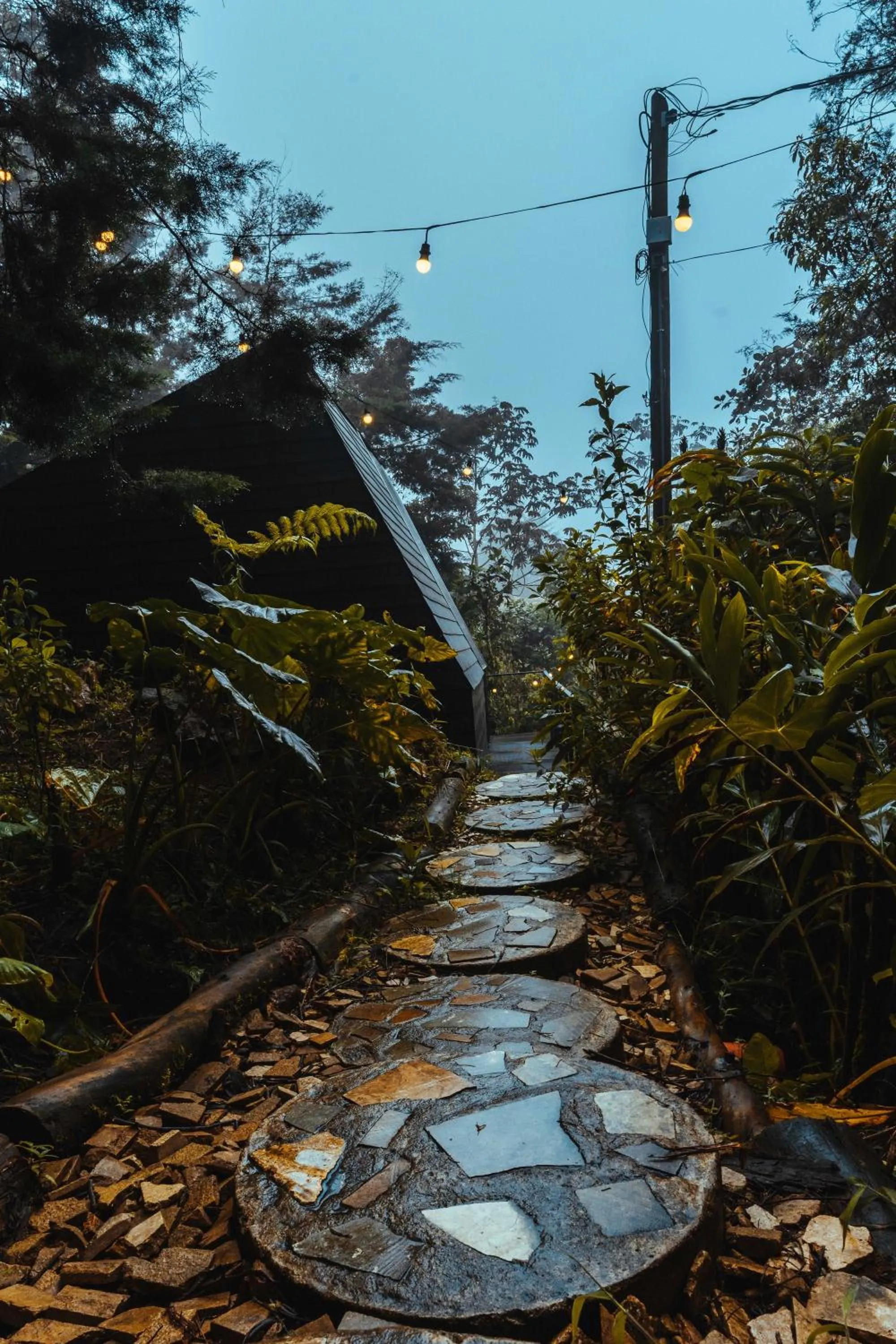 Spring in Oculto refugio de bosque