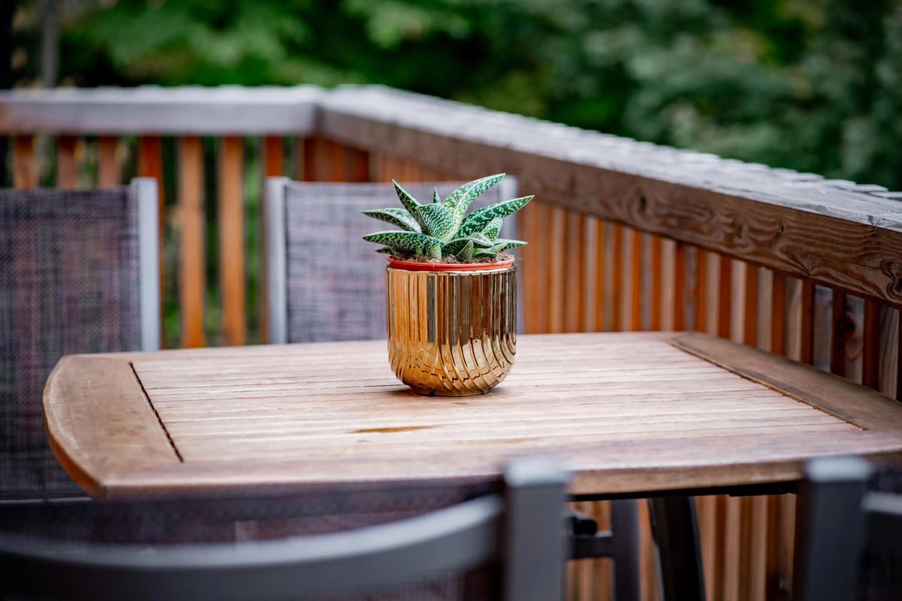 View (from property/room) in Apartmány NONE