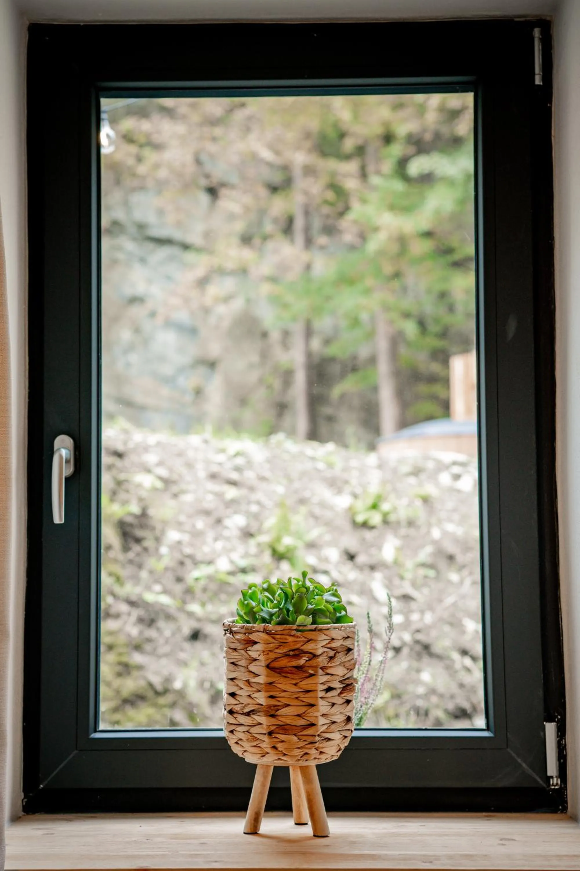 View (from property/room) in Apartmány NONE