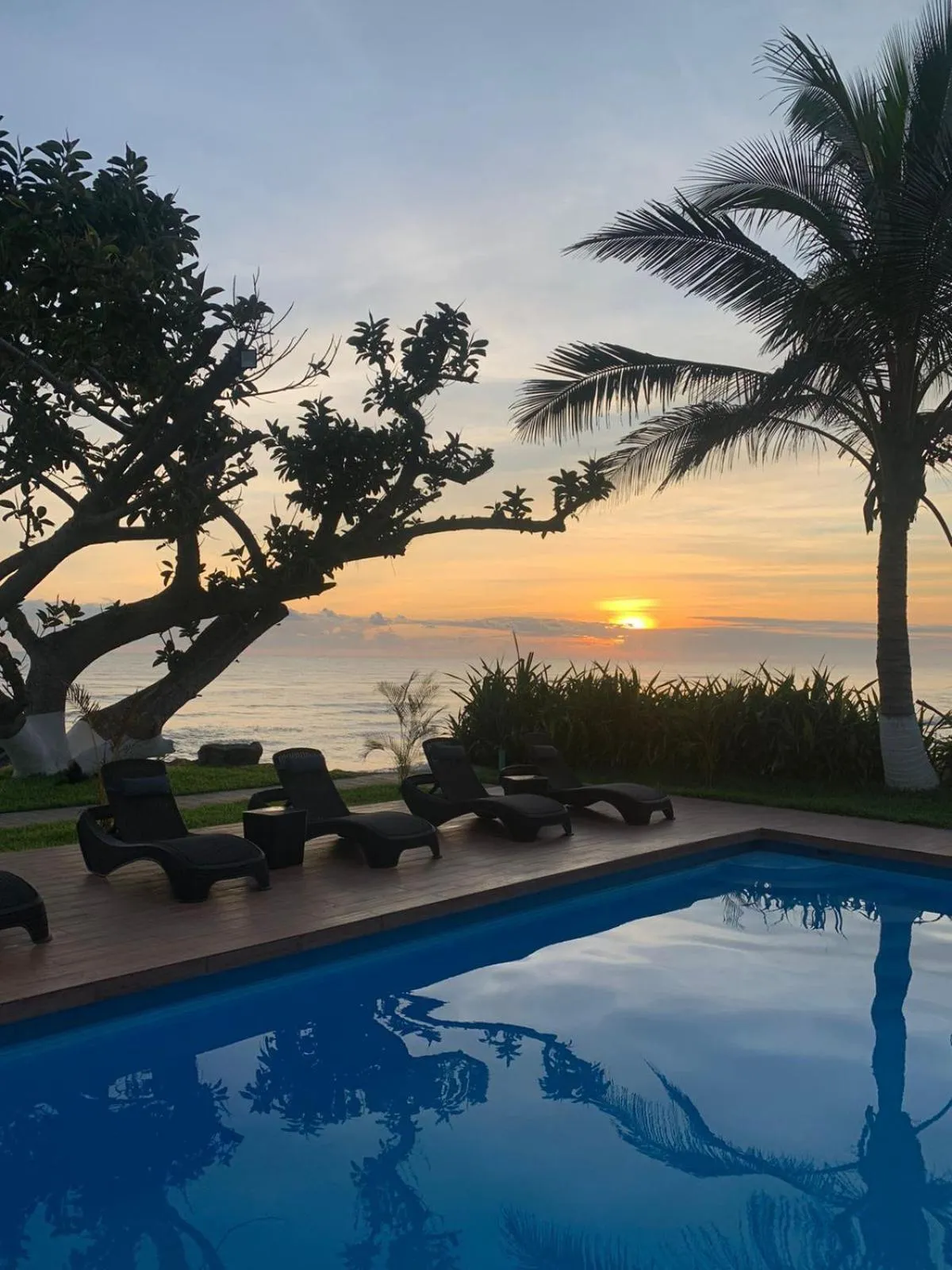 Swimming pool in Mar De Estrellas - Hotel