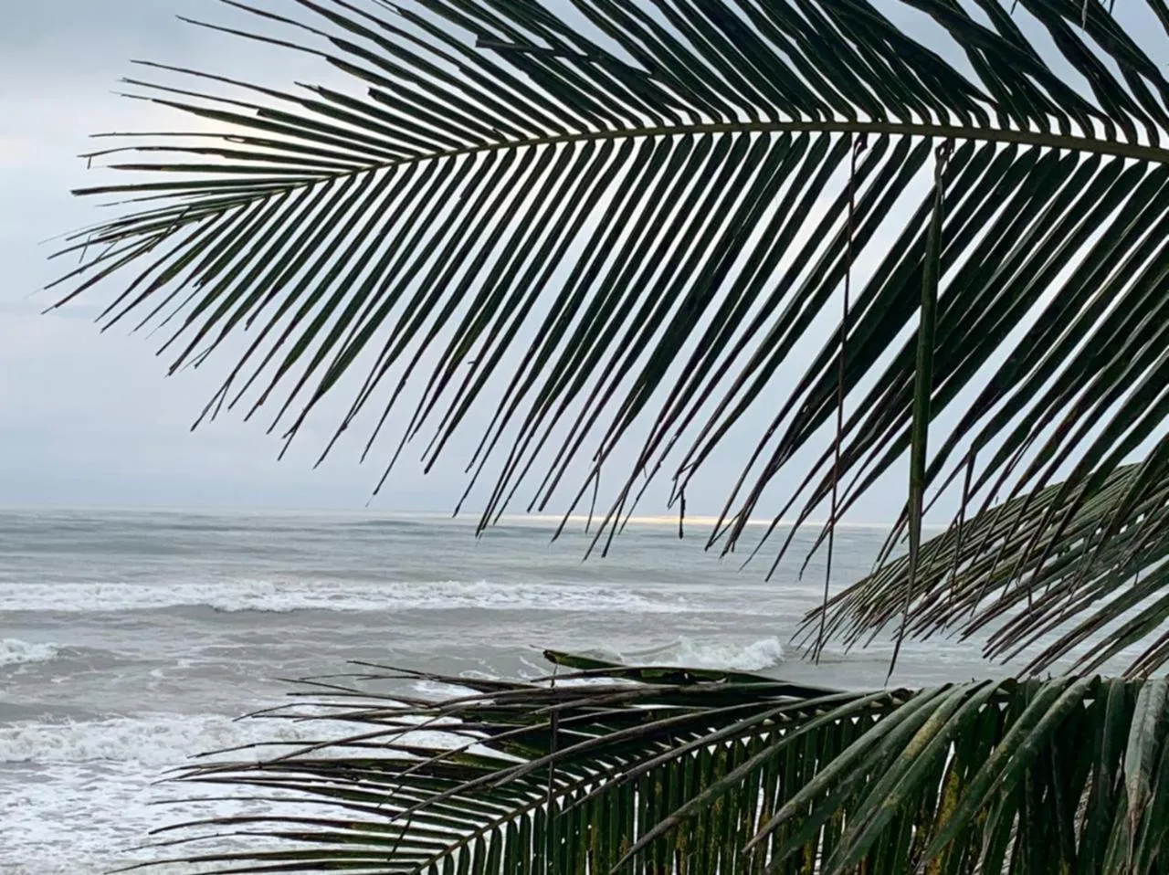 Natural landscape in Mar De Estrellas - Hotel