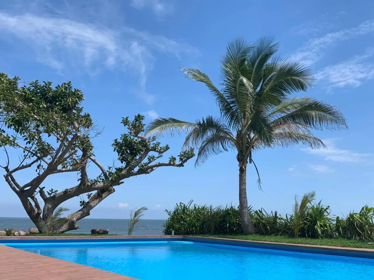 Swimming pool in Mar De Estrellas - Hotel