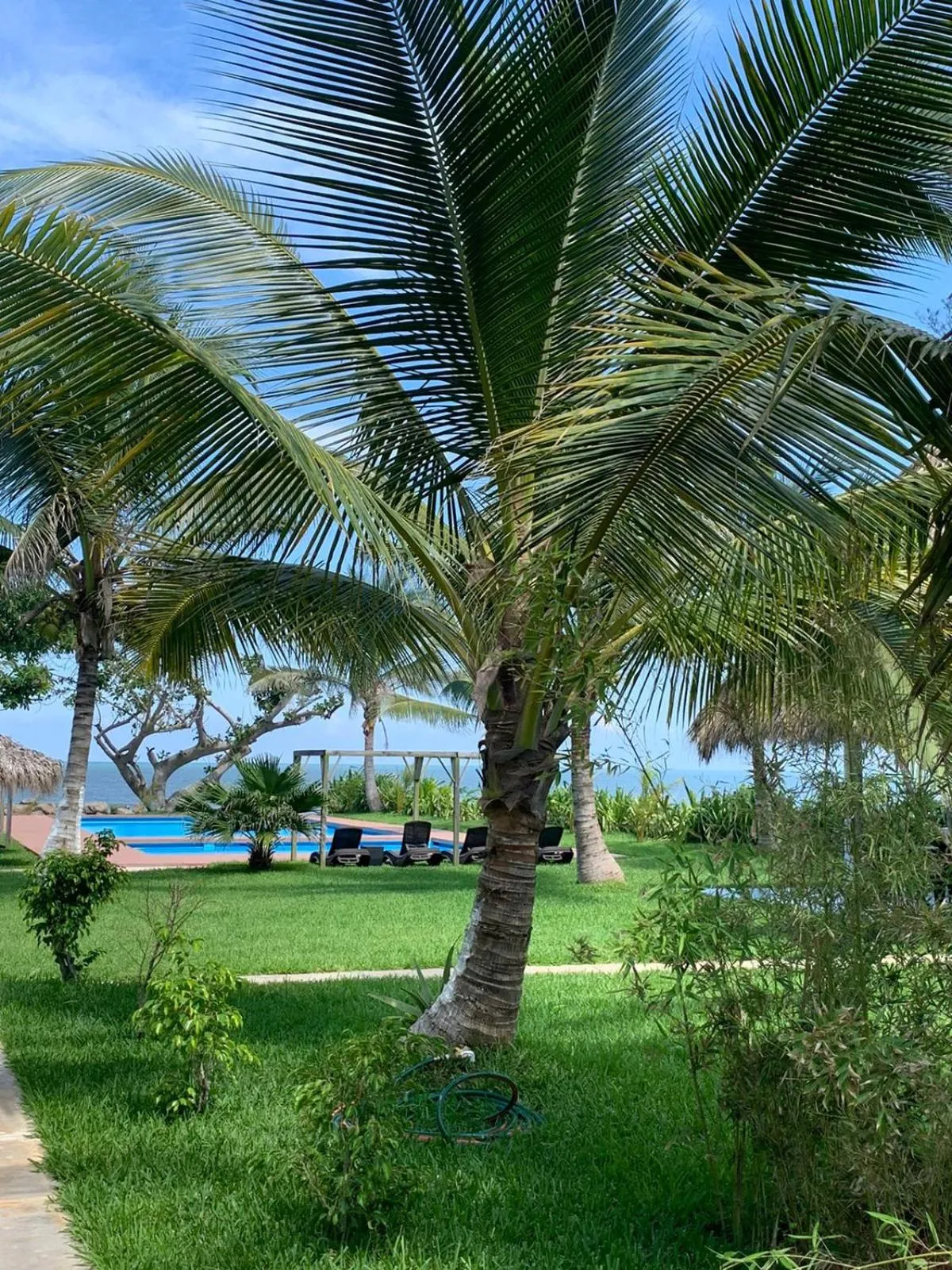 Swimming pool in Mar De Estrellas - Hotel