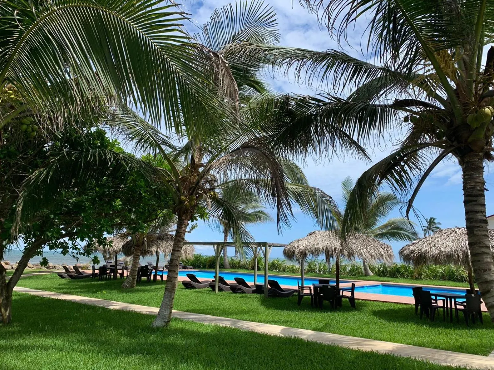 Garden in Mar De Estrellas - Hotel
