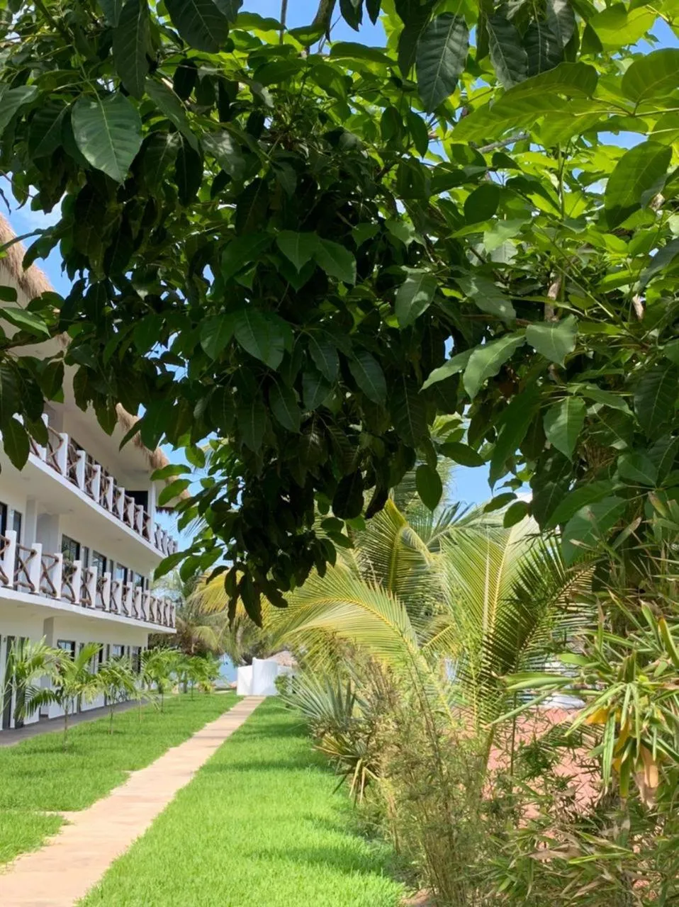 Property building in Mar De Estrellas - Hotel