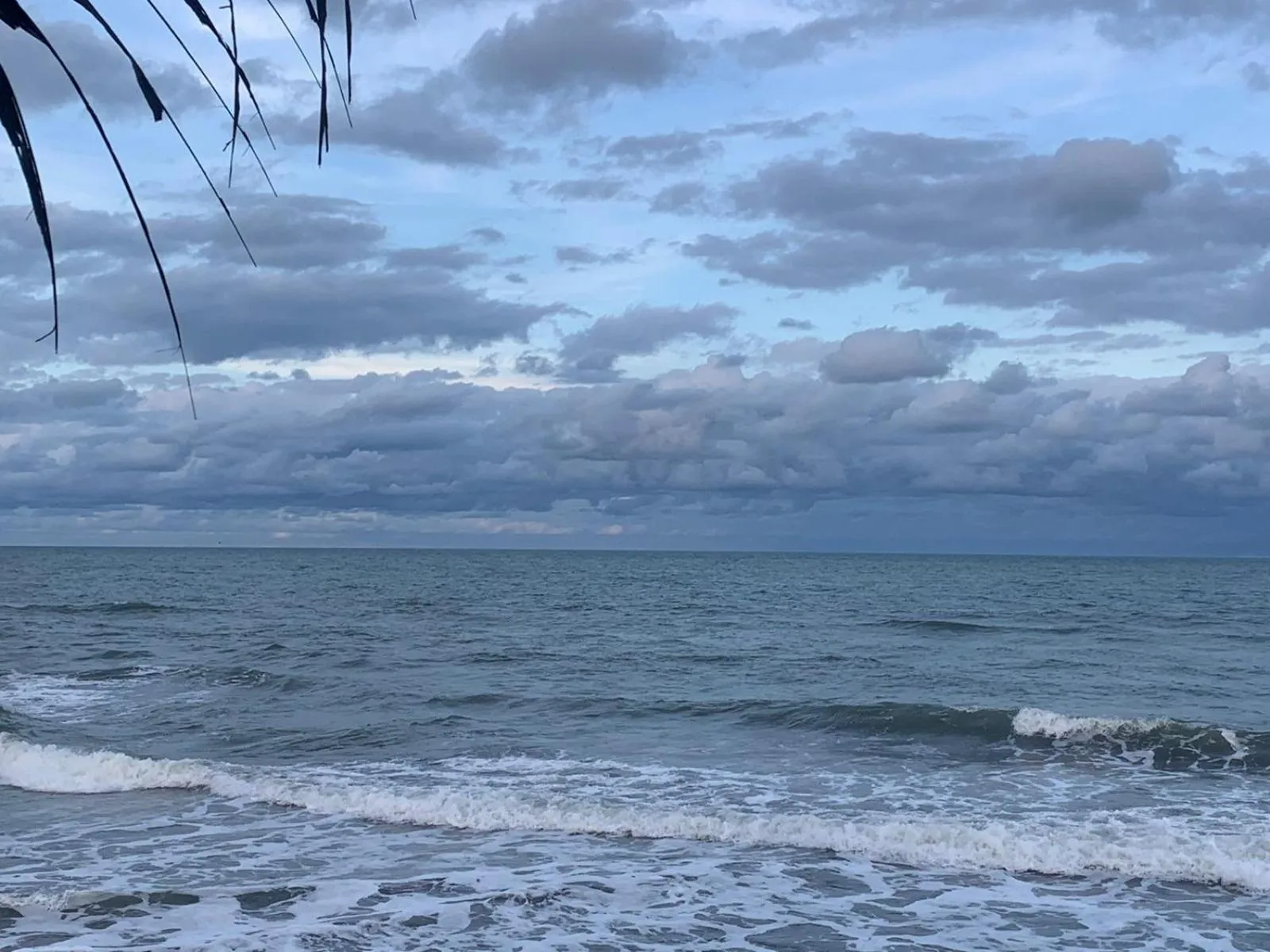 Swimming pool in Mar De Estrellas - Hotel
