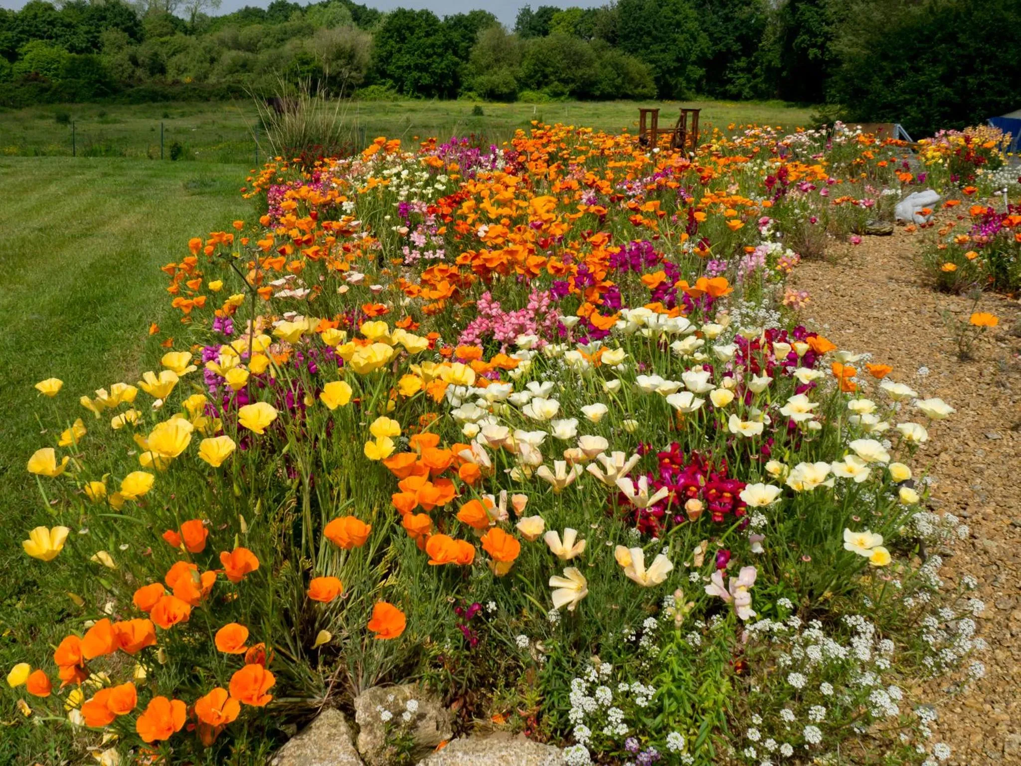 Garden in Châtelet Camelot
