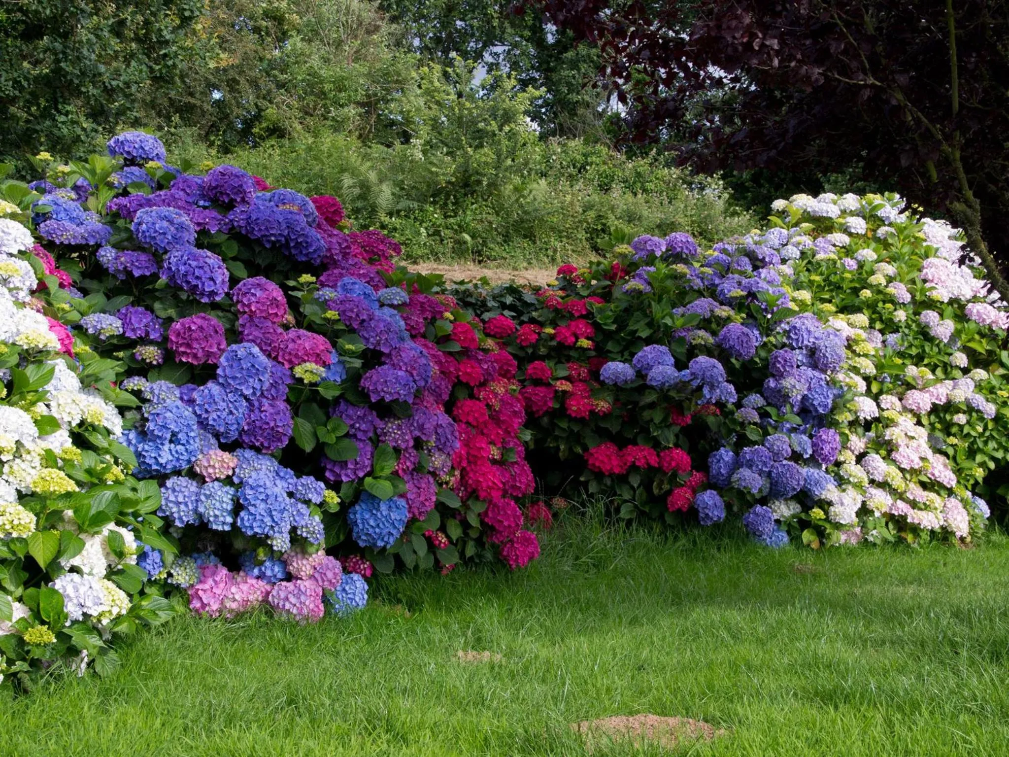Garden in Châtelet Camelot