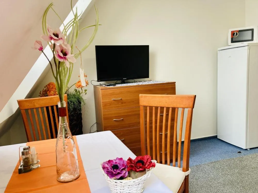 Photo of the whole room in Apartmány, Penzion, Wellness U zlaté rybky