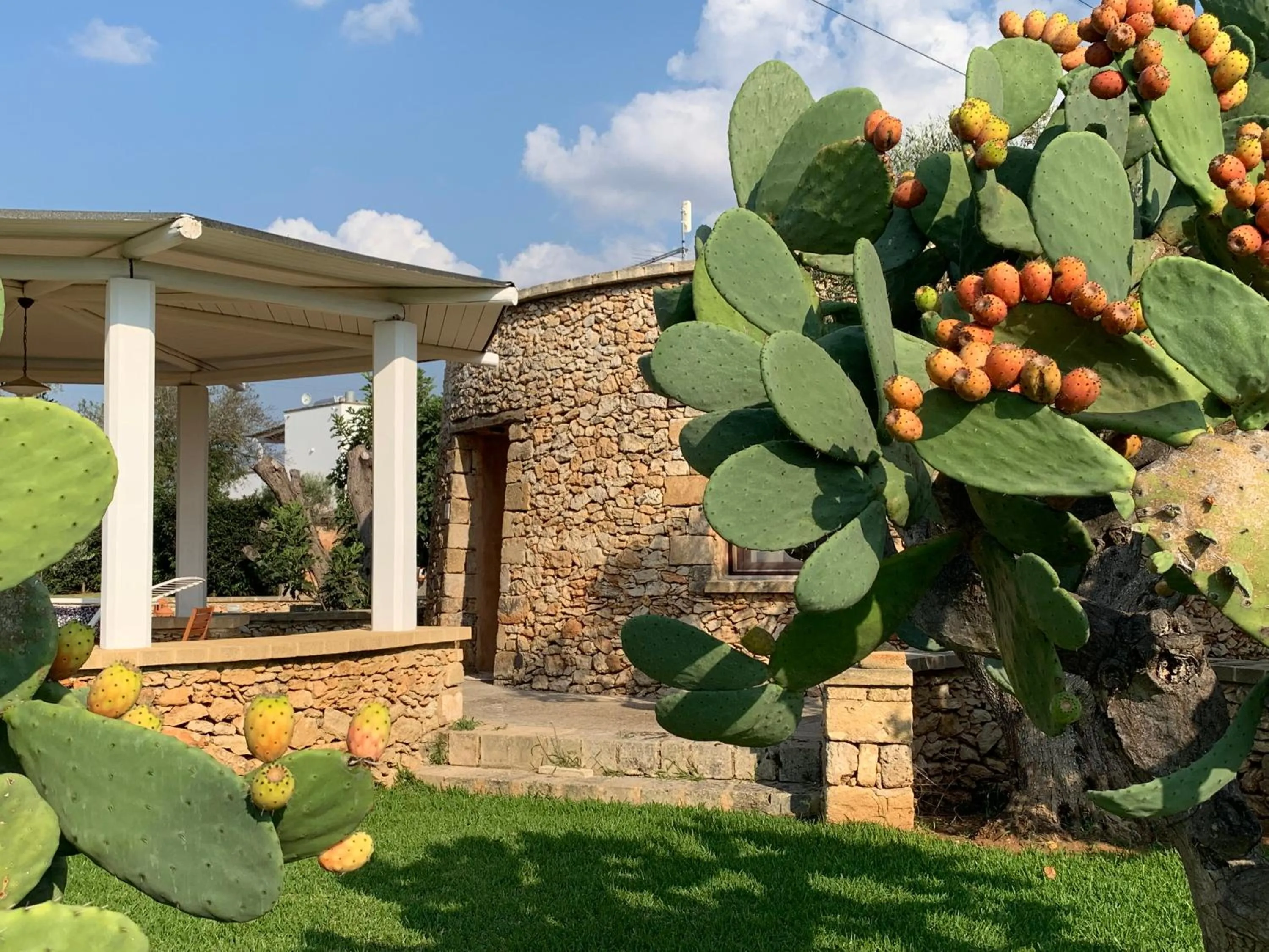 Property building in Borgo Rosso Terra