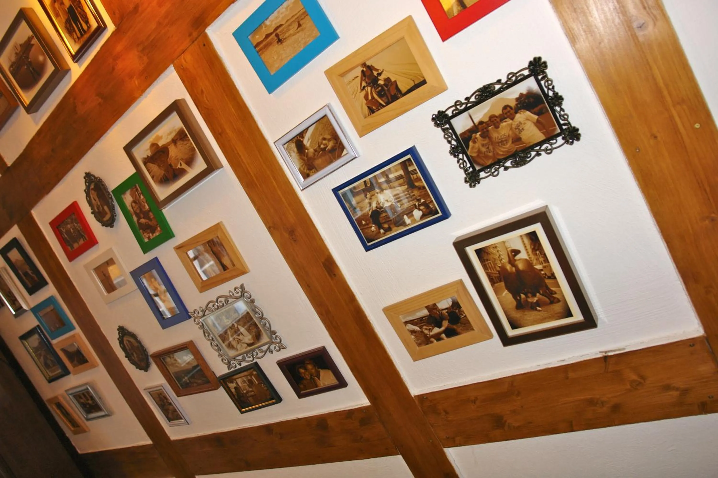 Decorative detail in Lotte - The Backpackers