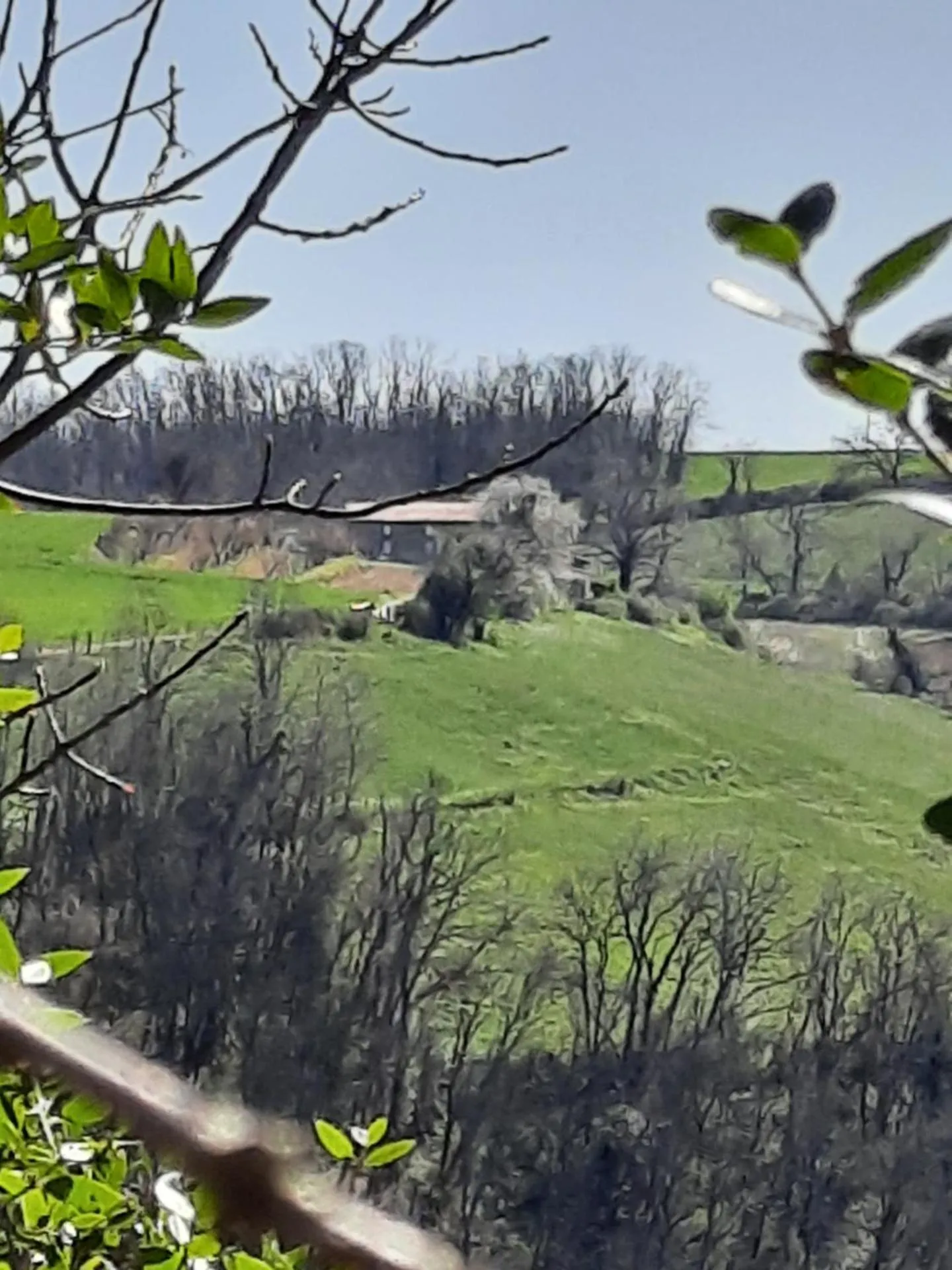 View (from property/room) in L'Echappée Trémoussante