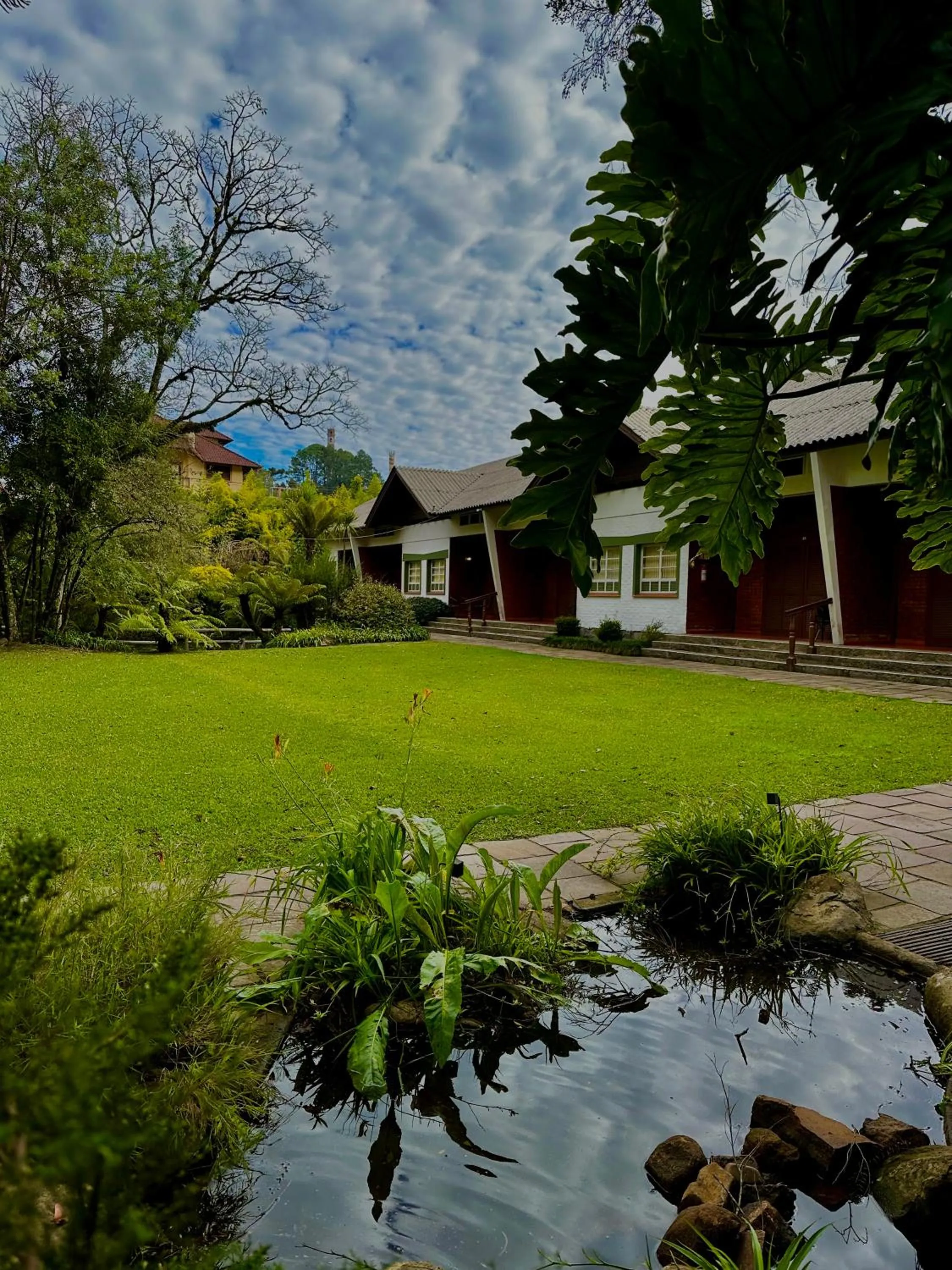 Garden in Natur Hotel - 700m da Rua Coberta