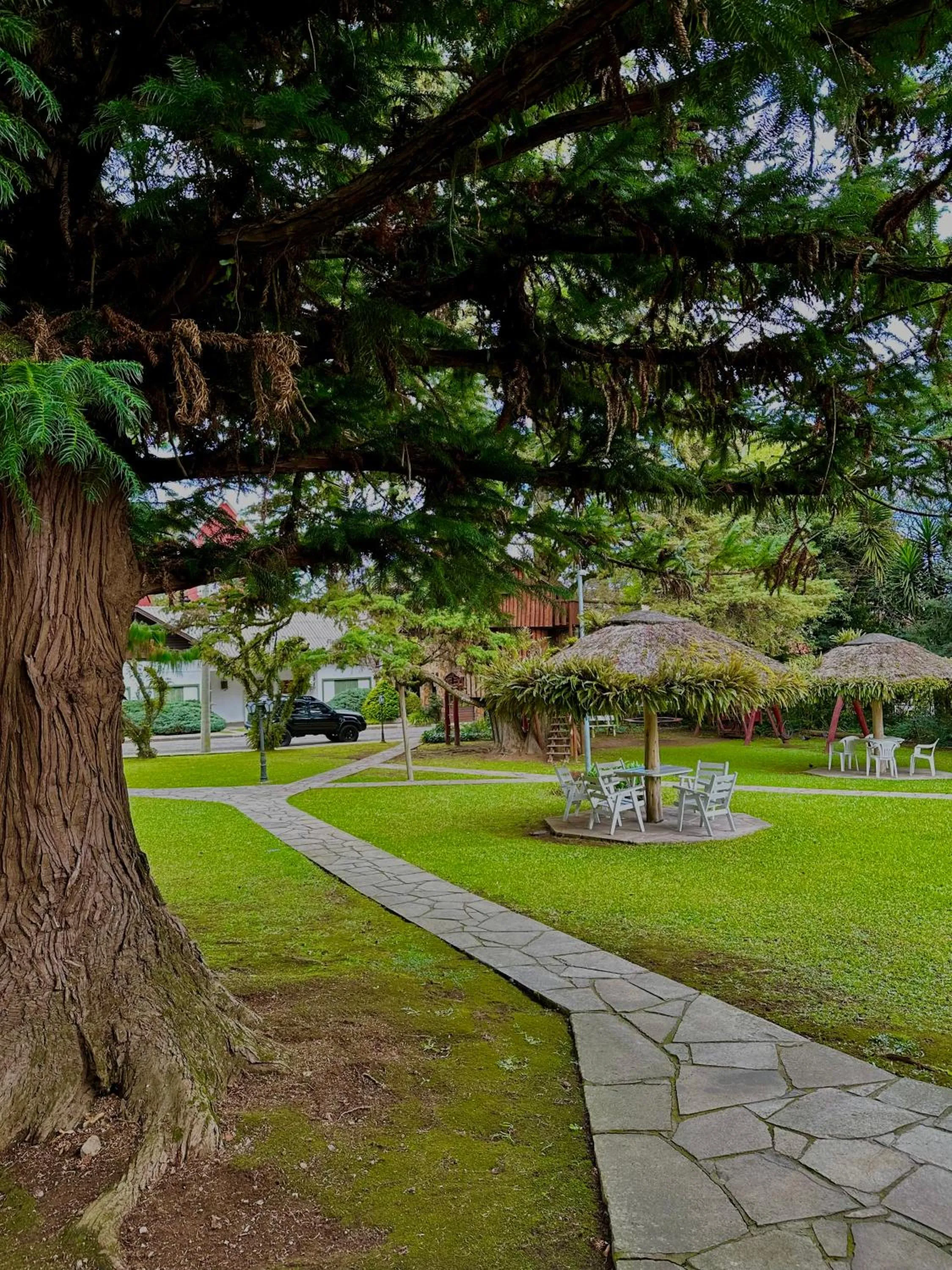 Garden in Natur Hotel - 700m da Rua Coberta