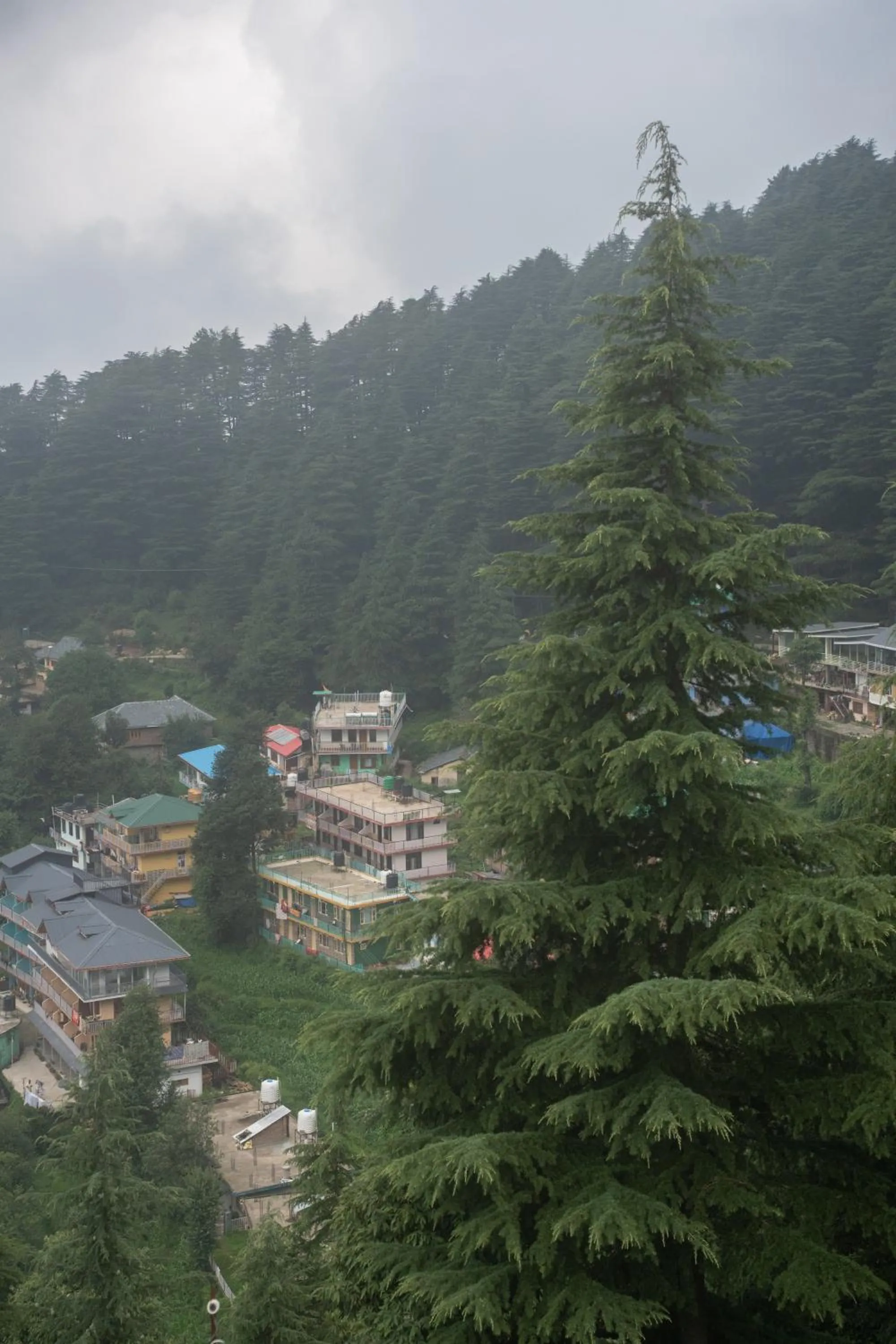 Natural landscape in The Unmad - Dharamkot