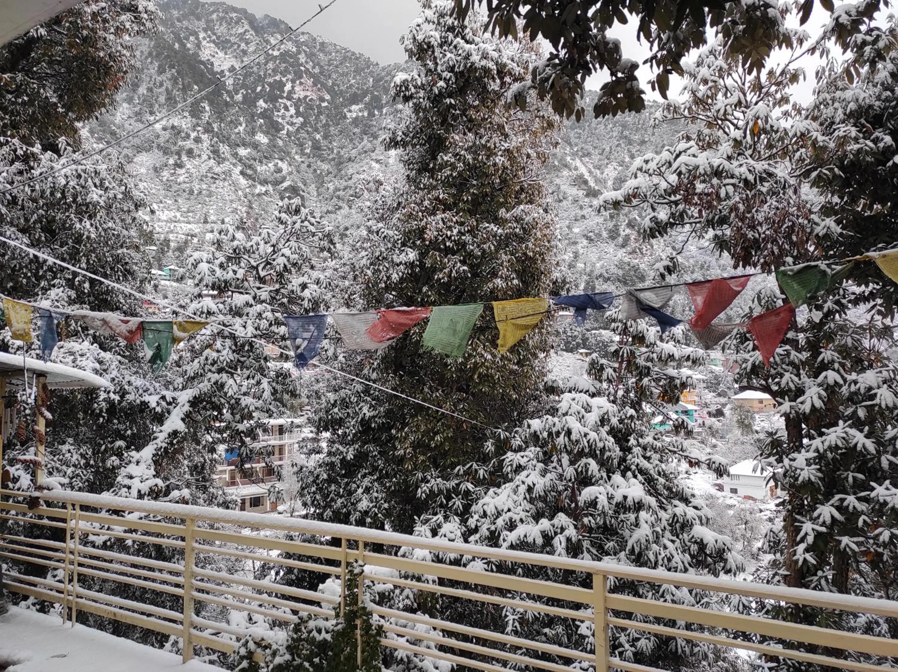 Natural landscape in The Unmad - Dharamkot