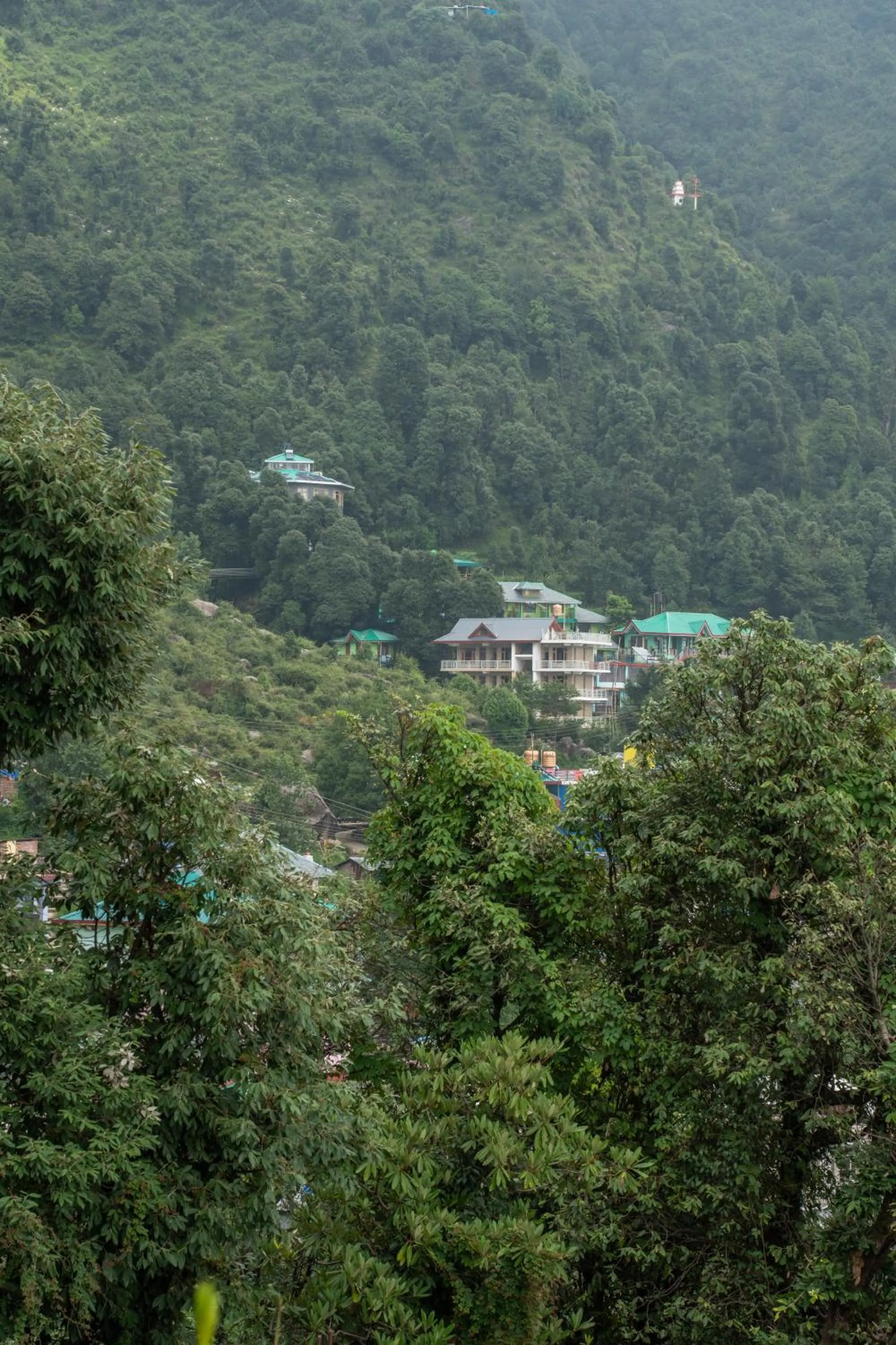 Day in The Unmad - Dharamkot