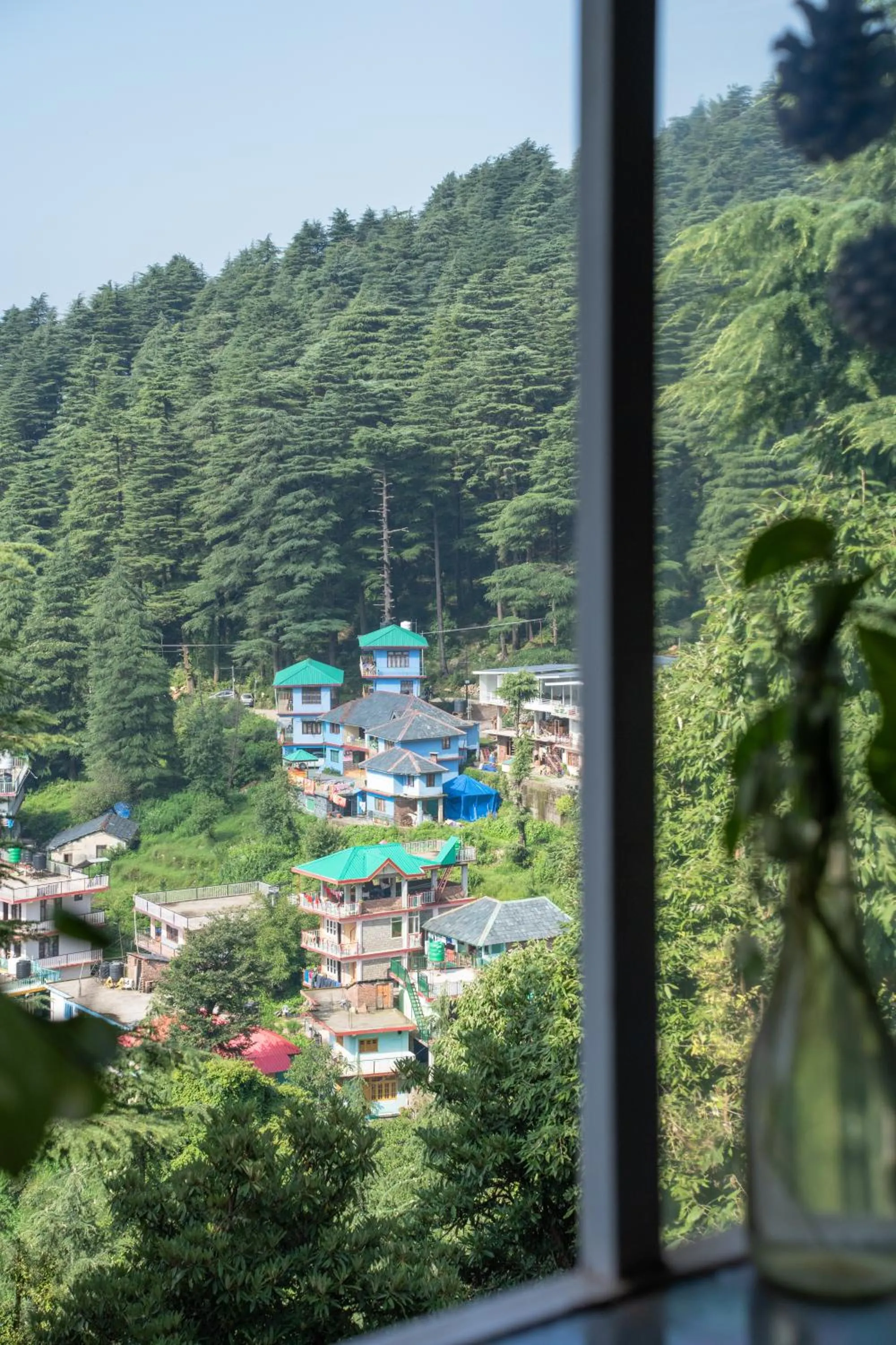 Natural landscape in The Unmad - Dharamkot