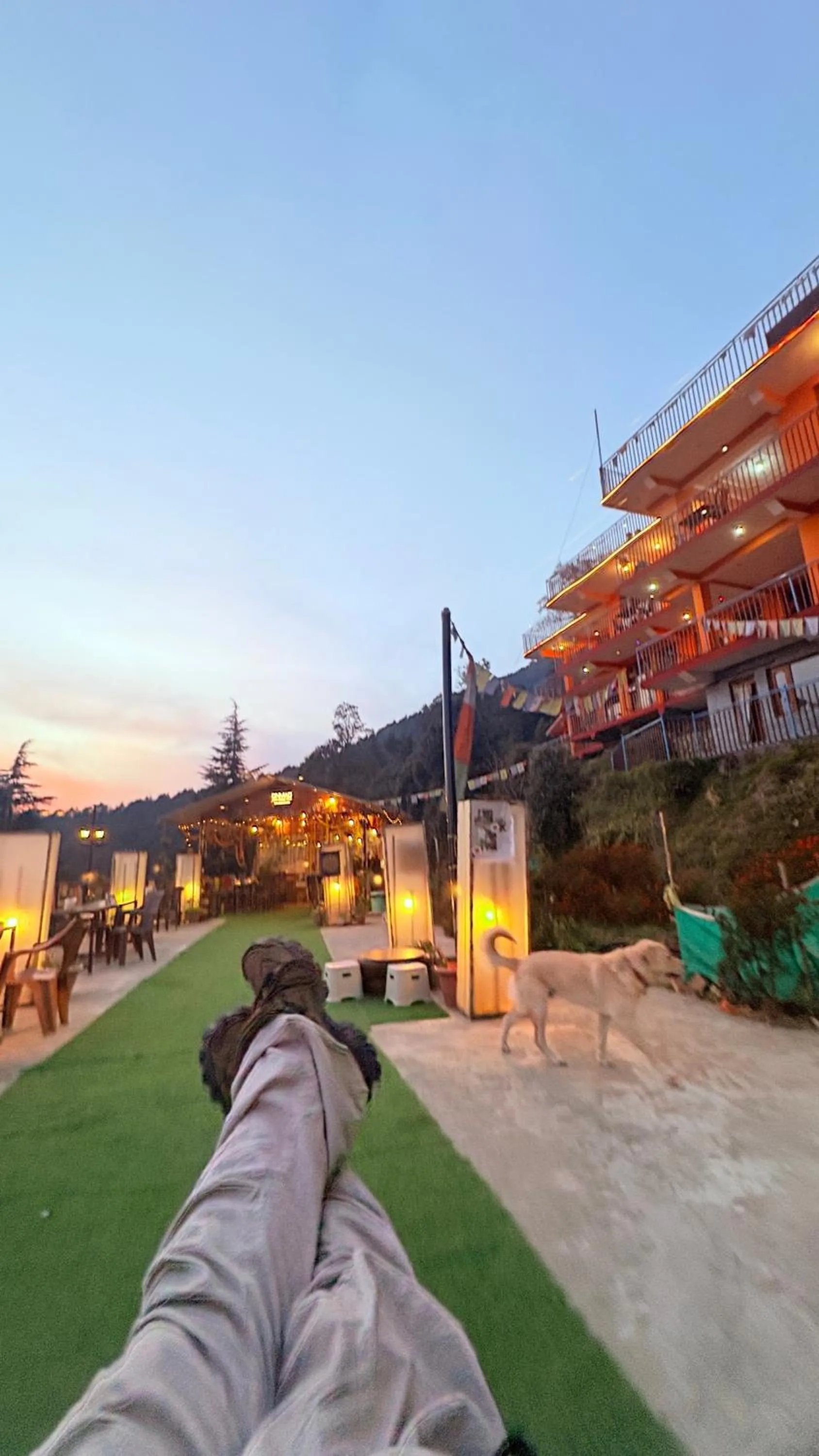 The Unmad - Dharamkot