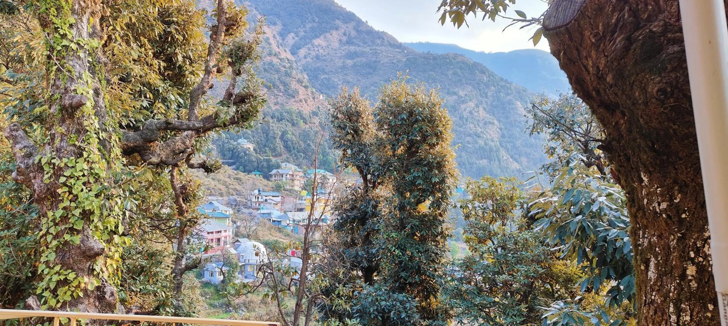 Mountain view in The Unmad - Dharamkot
