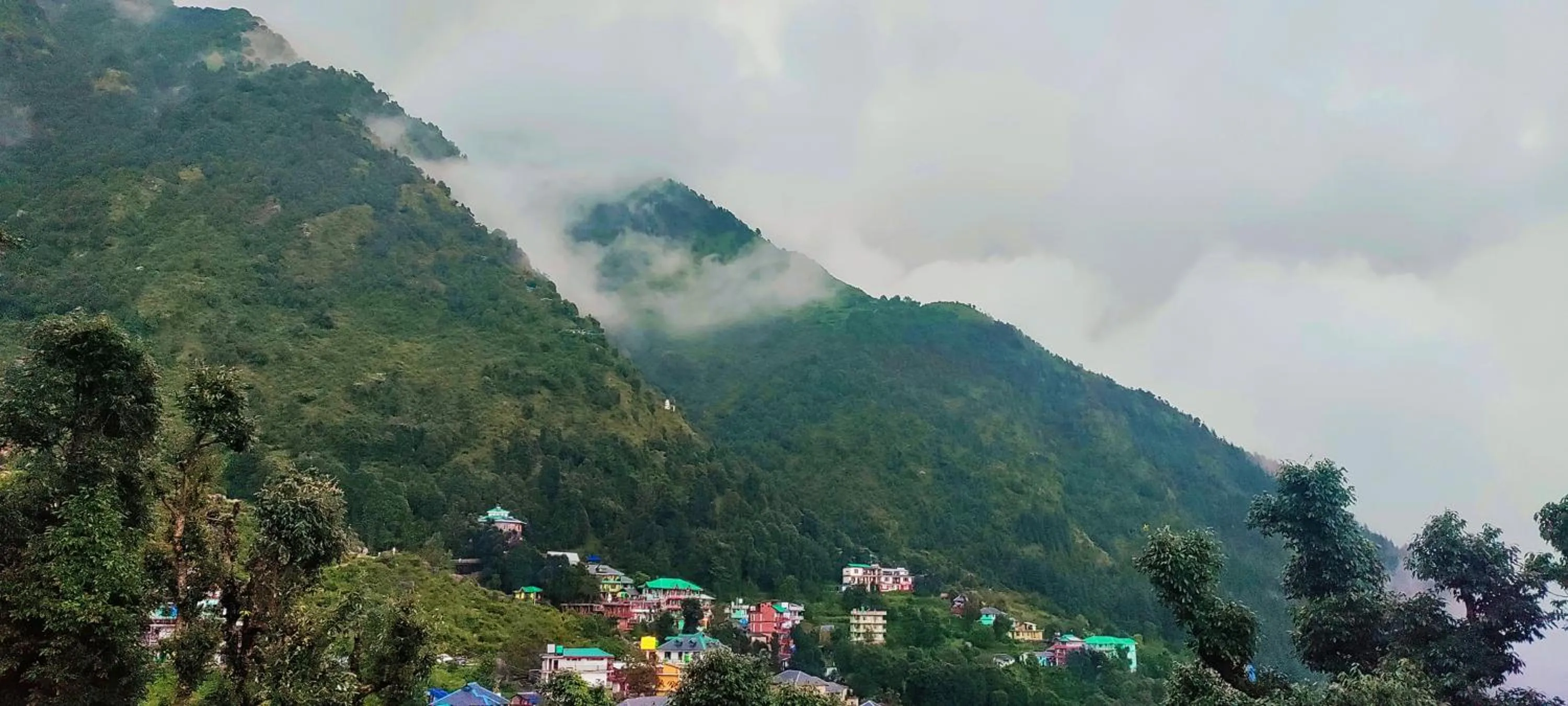 Neighbourhood in The Unmad - Dharamkot