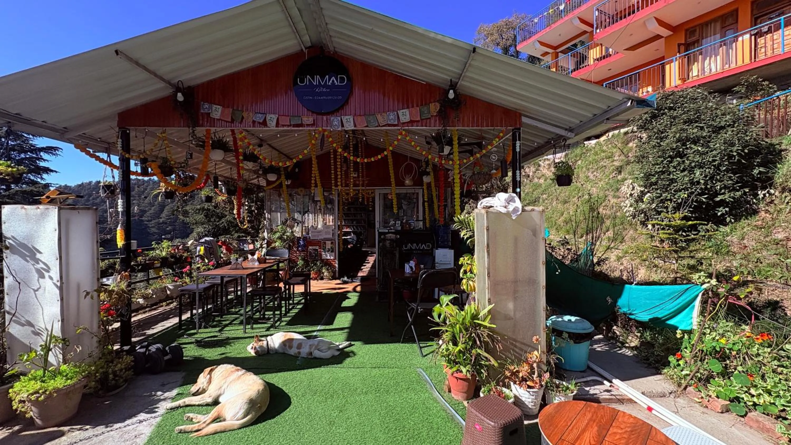 Restaurant/places to eat in The Unmad - Dharamkot