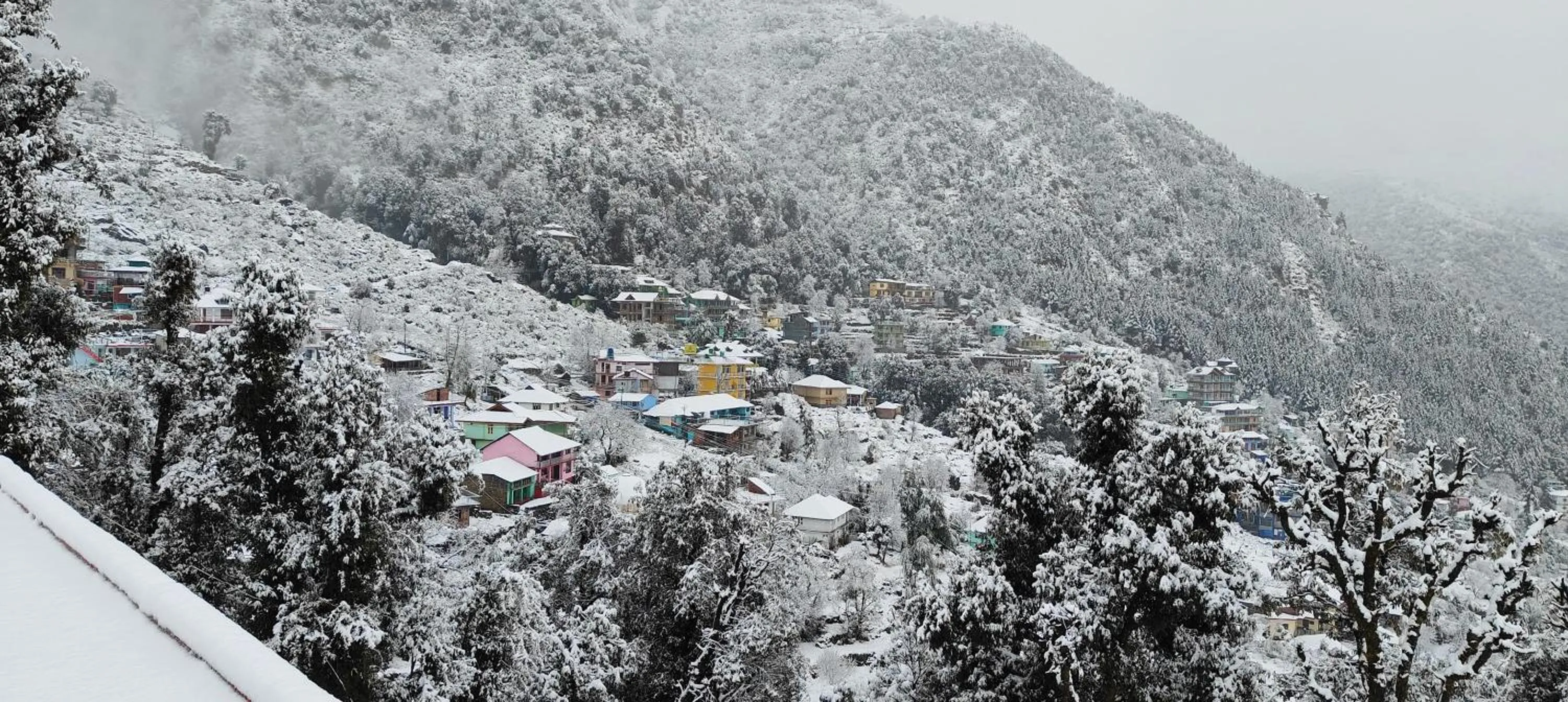 Natural landscape in The Unmad - Dharamkot