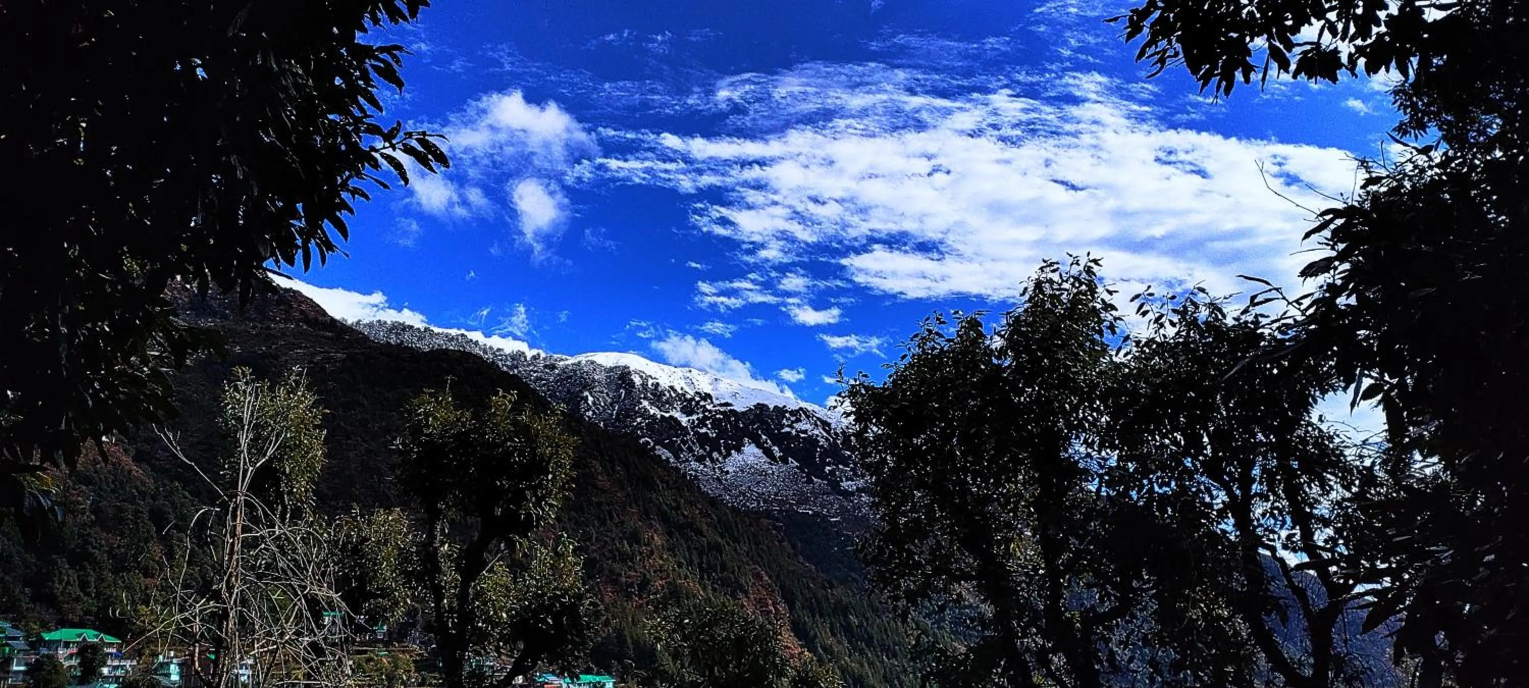 Natural landscape in The Unmad - Dharamkot