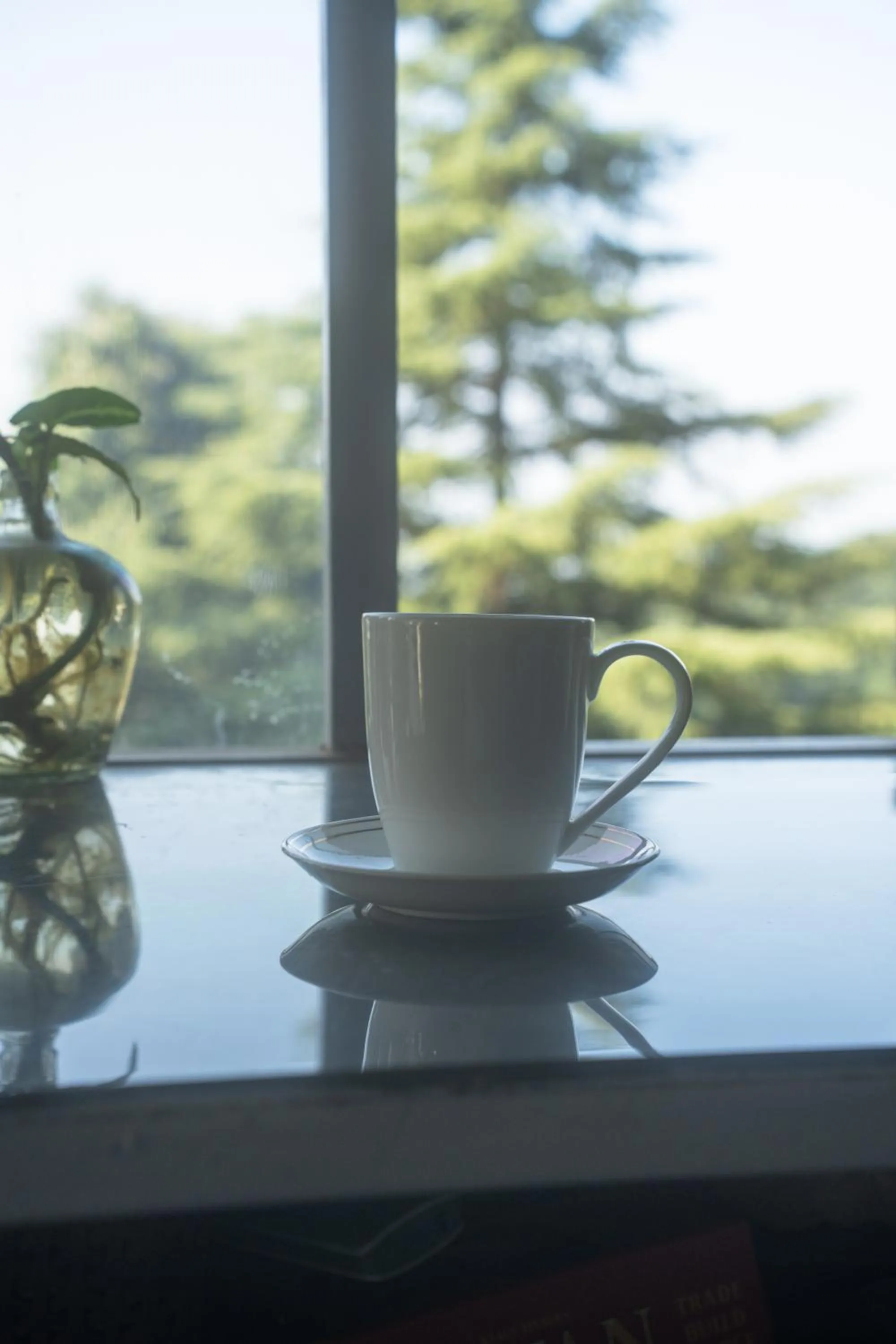 Restaurant/places to eat in The Unmad - Dharamkot