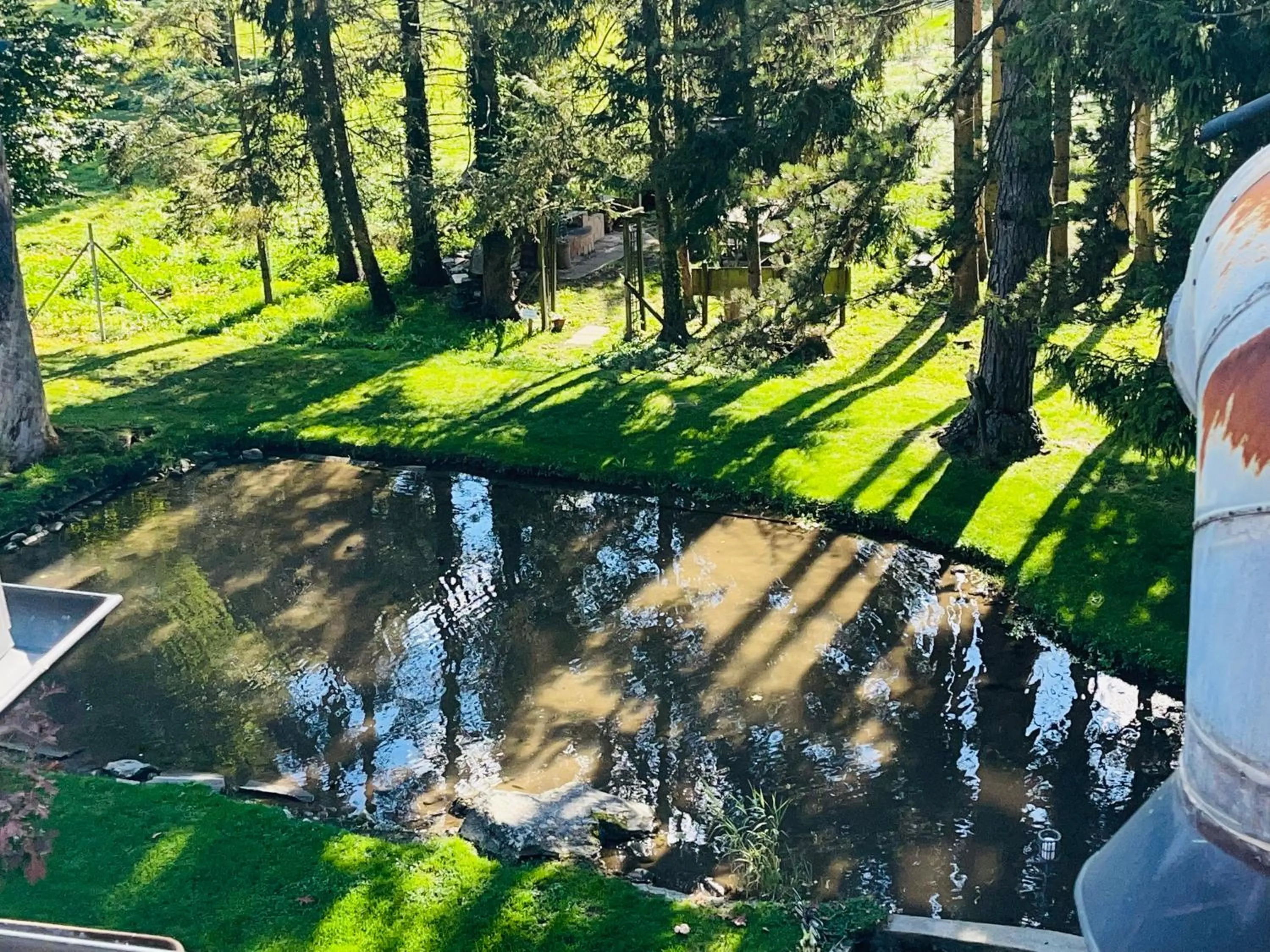 Natural landscape in Hotel Sternen Worb