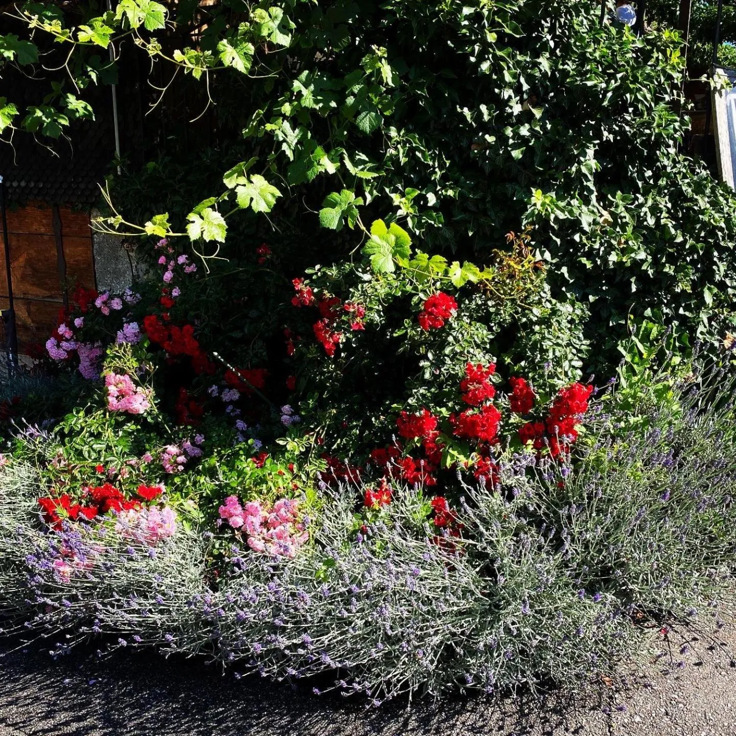 Garden in Hotel Sternen Worb