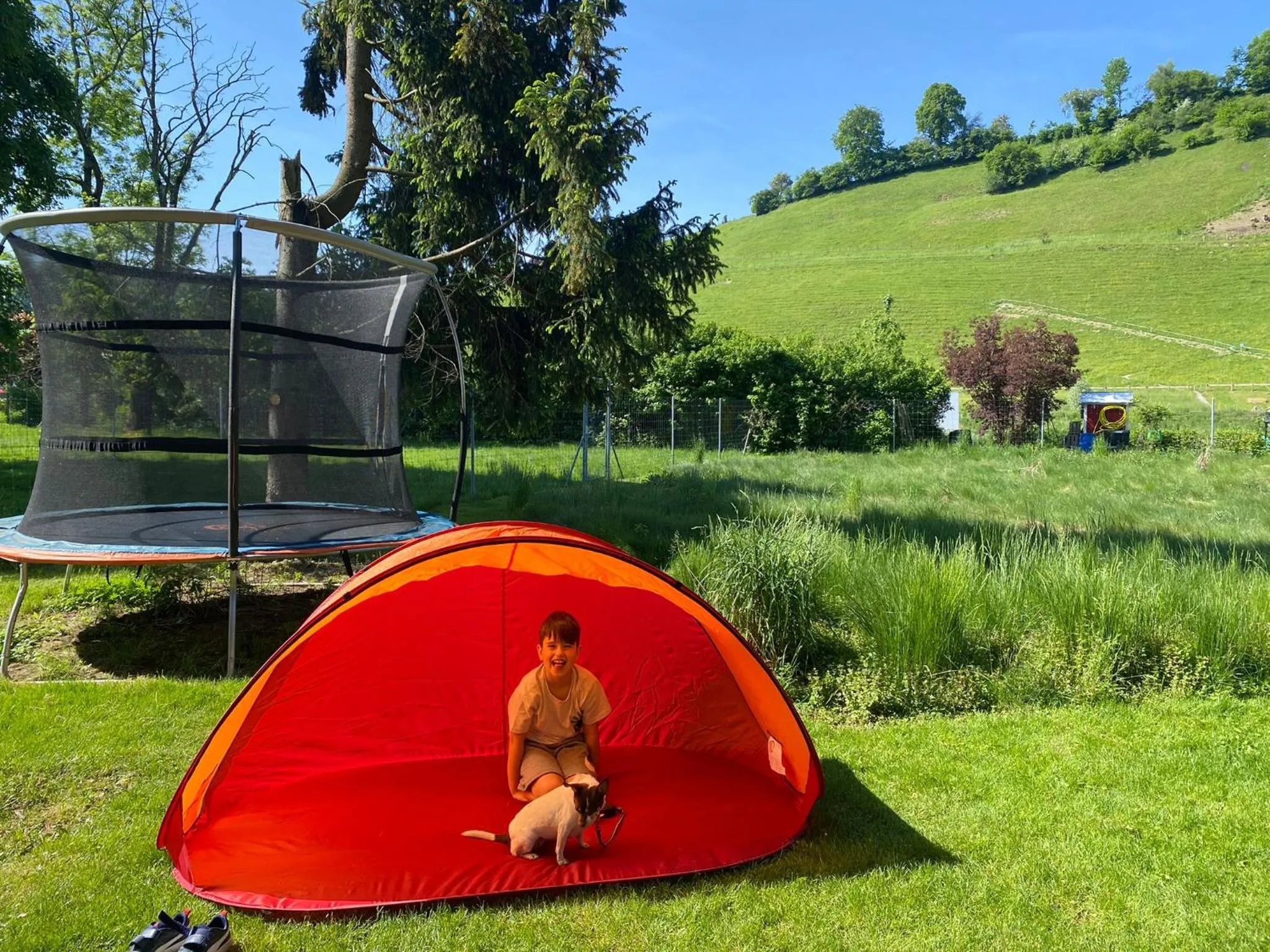 Natural landscape in Hotel Sternen Worb