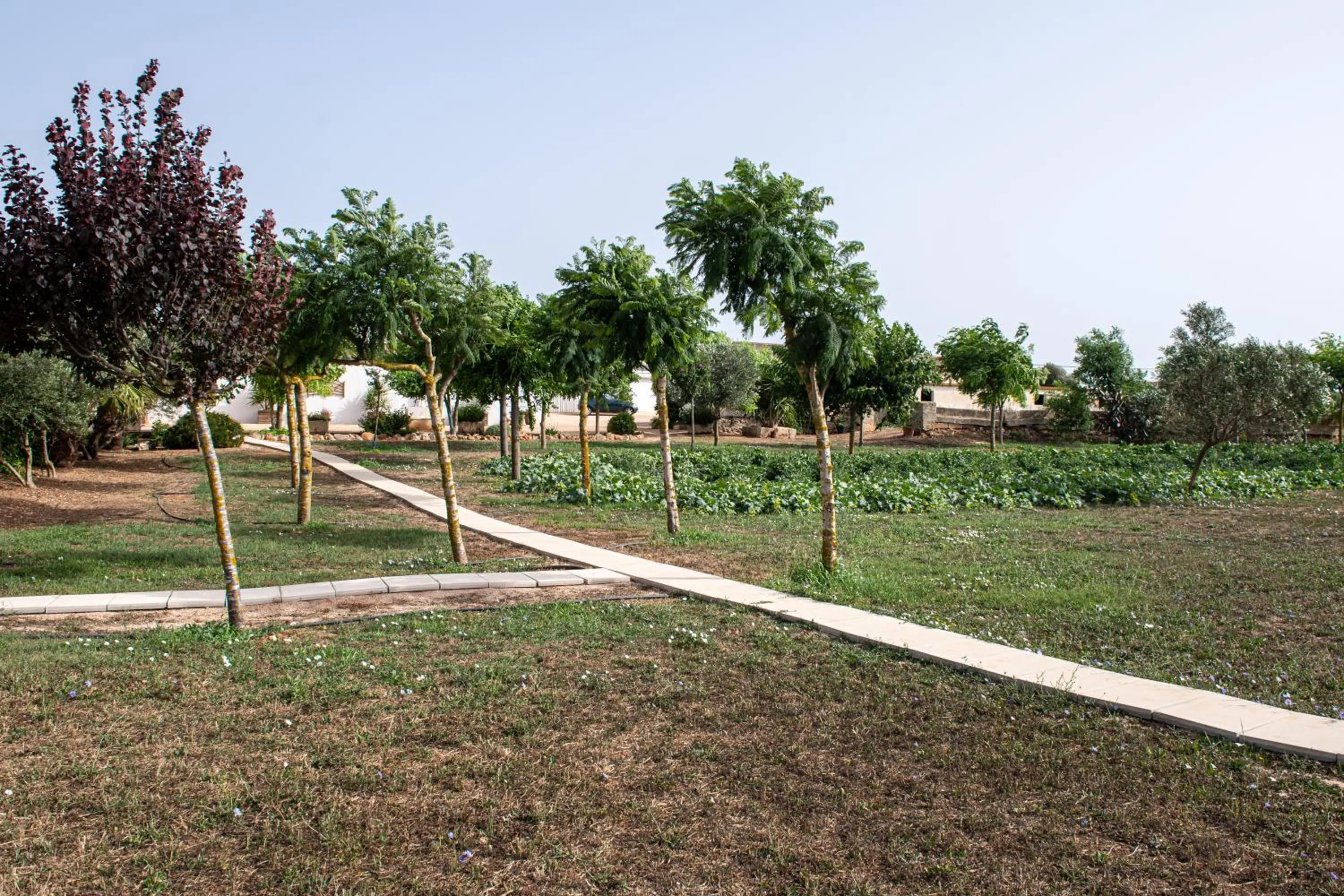 Off site in Agroturismo Son Juaneda