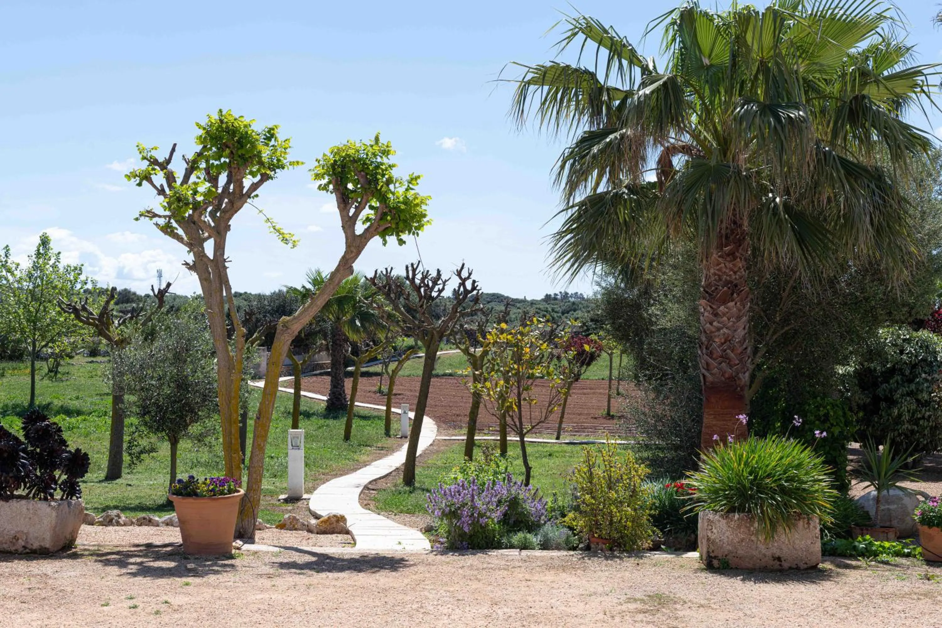 Garden view in Agroturismo Son Juaneda