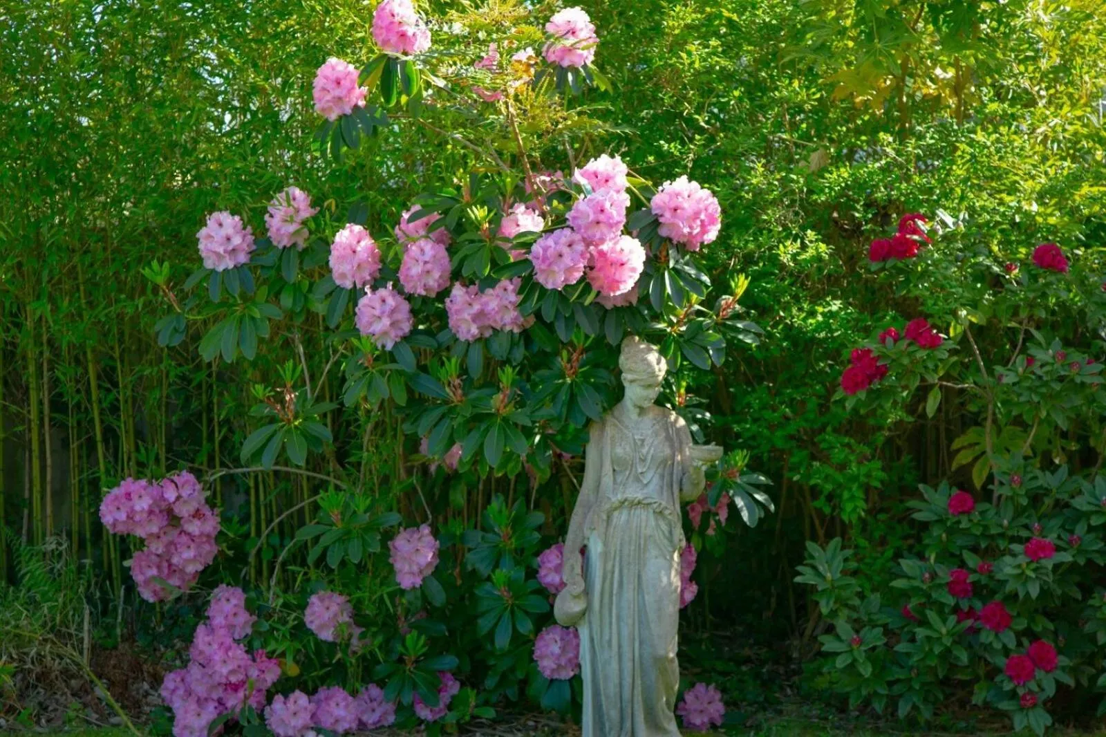 Garden in No 5 Bournemouth