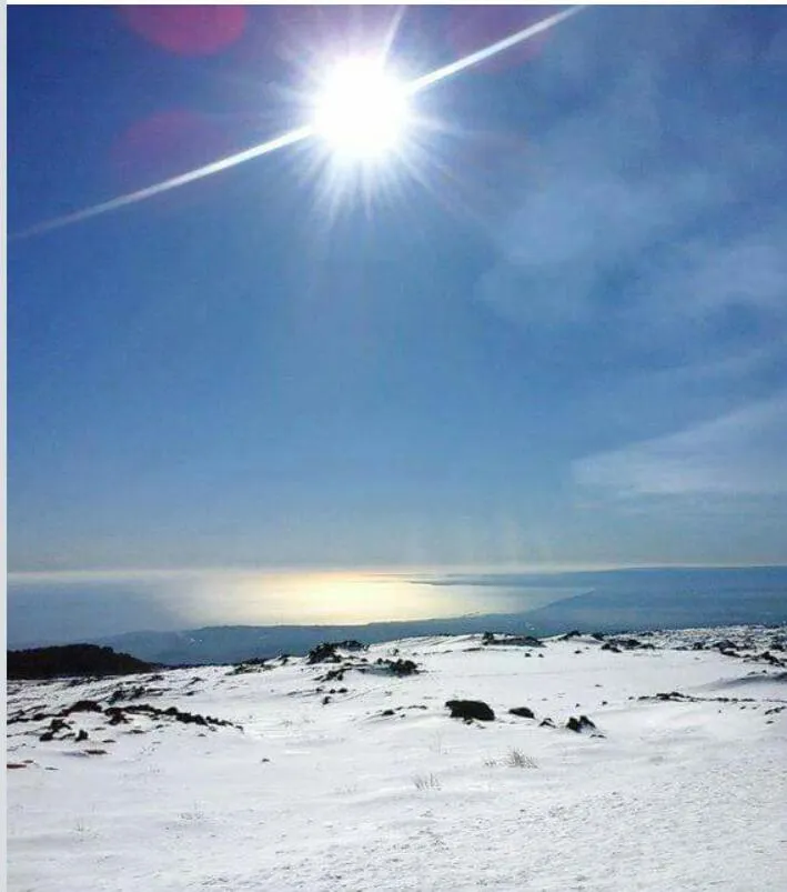 Natural landscape in Bellini Home B&B