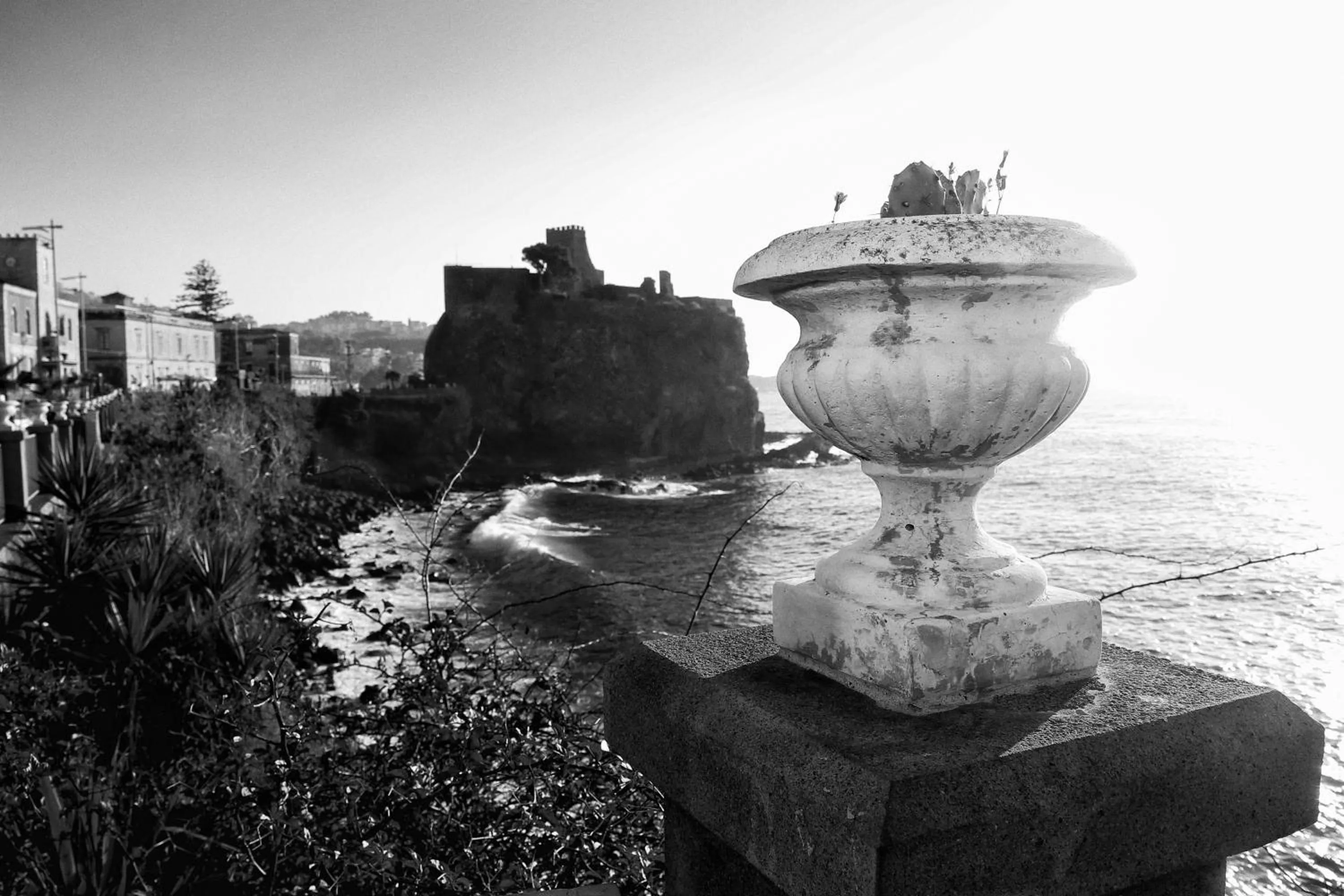 Natural landscape in Bellini Home B&B