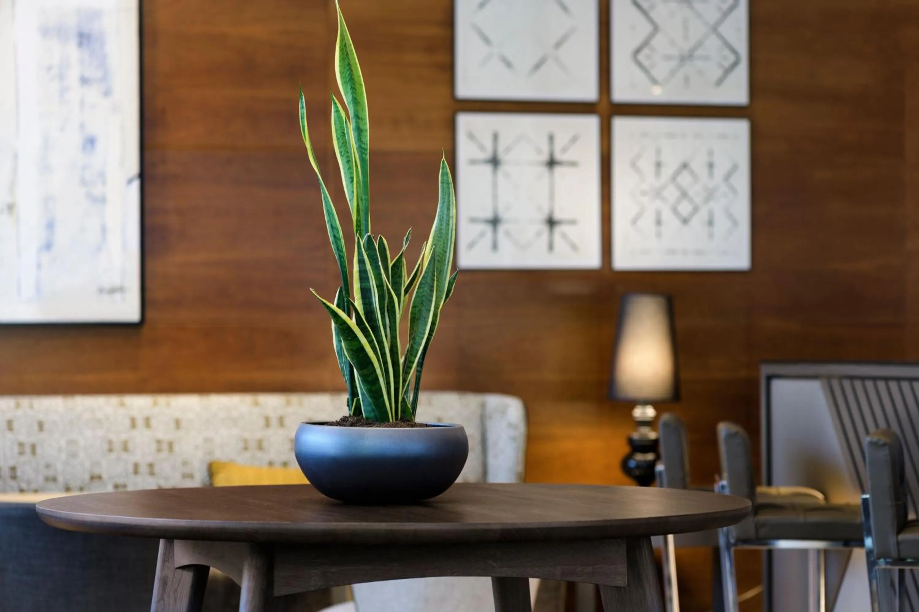 Lounge or bar in AC Hotel Guadalajara by Marriott, Spain