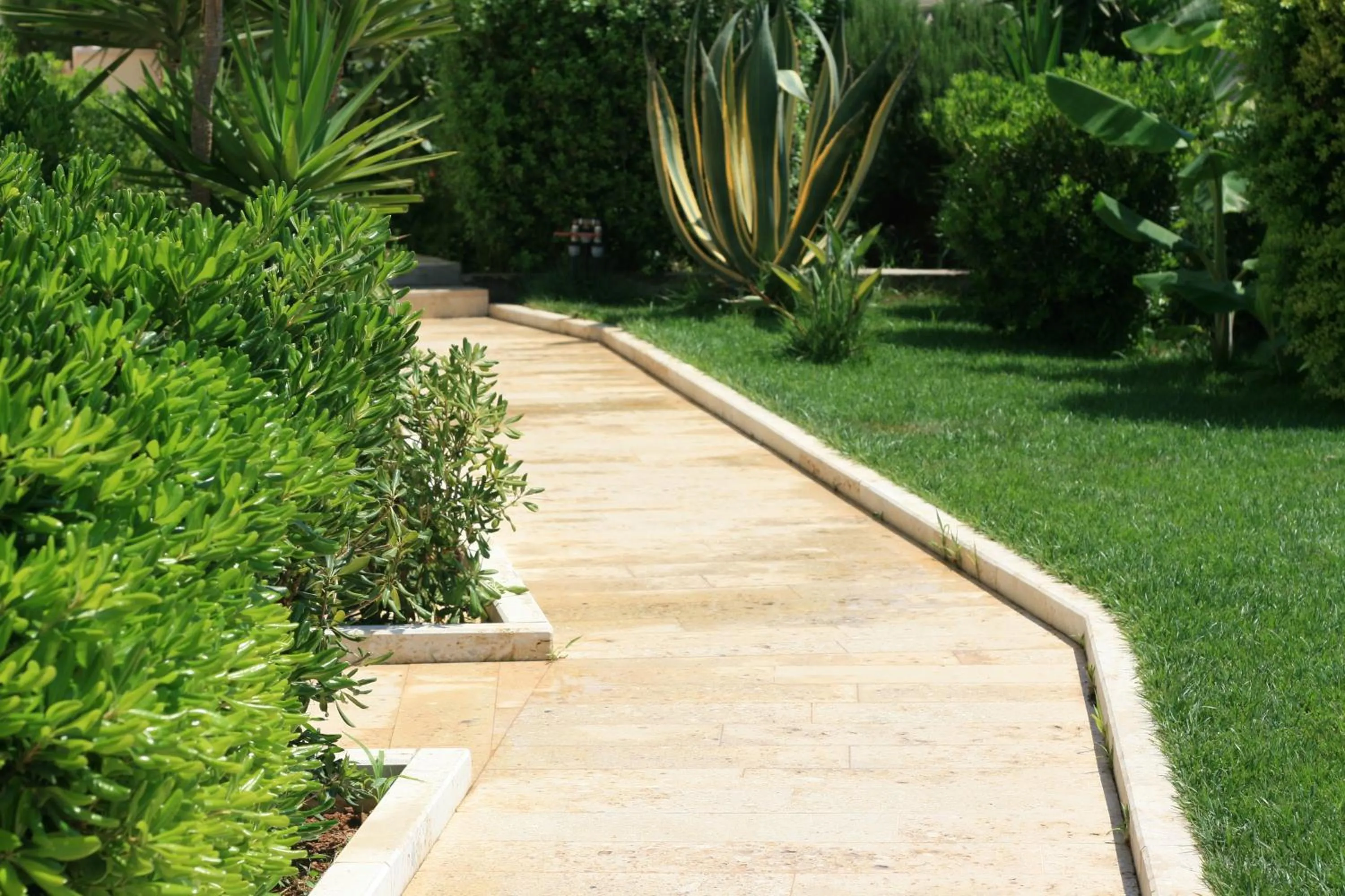 Garden in Hotel Sole